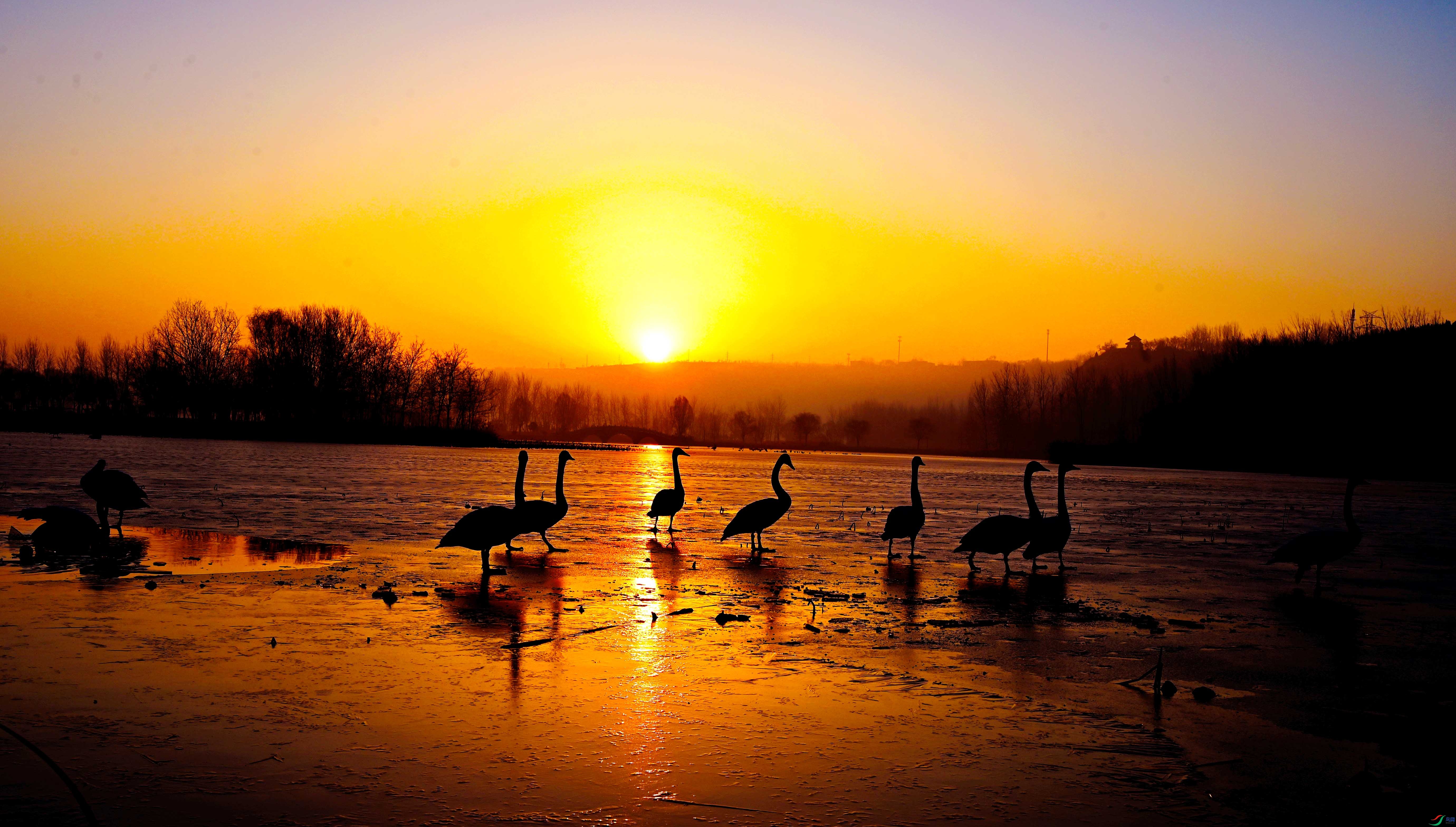 RGB_7131 ����.jpg