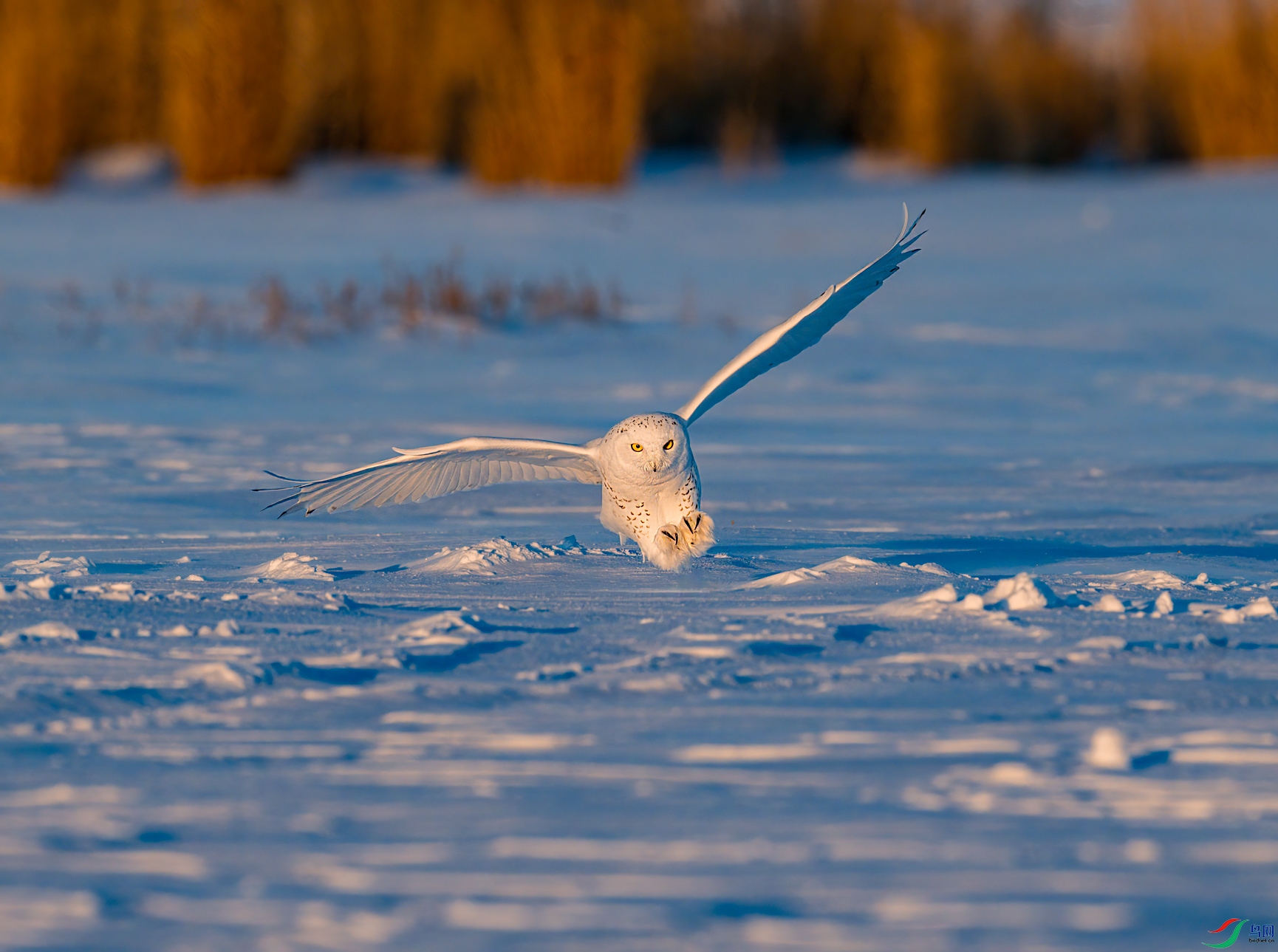 DSC_4632.jpg