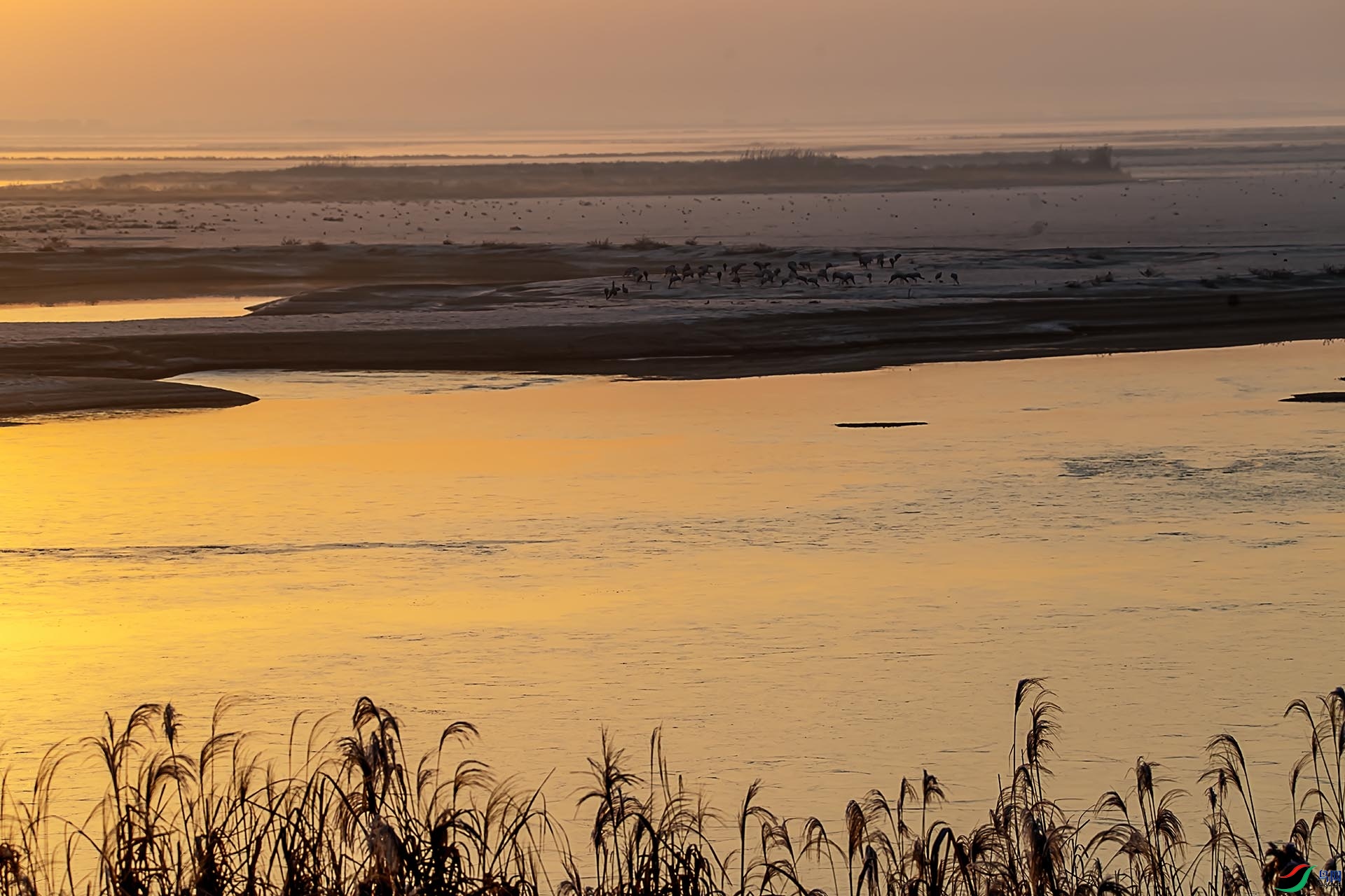 DSC_4616 ����.jpg