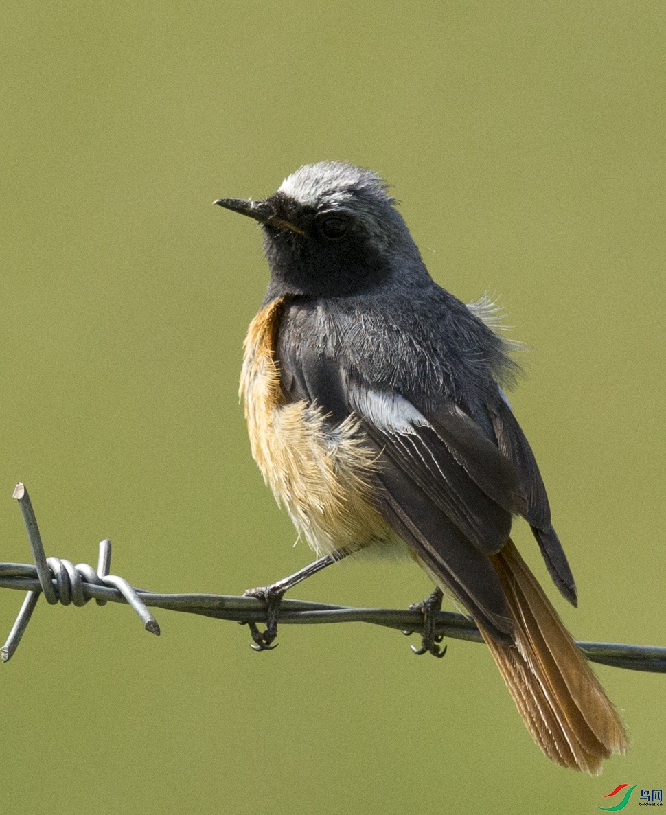 �ຣ���� (5).jpg