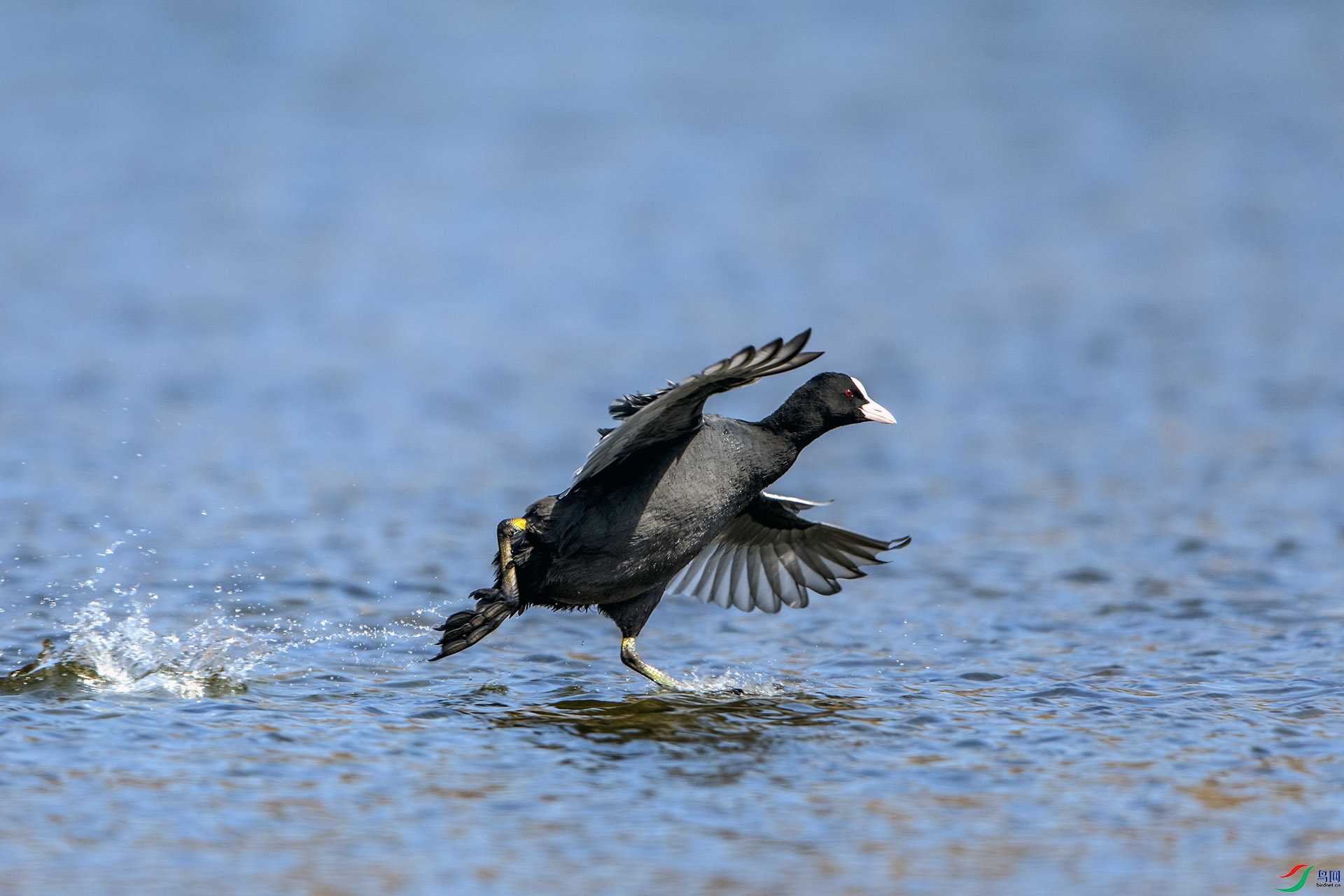 ��_AUU1030��ˮ��Ư(23.2.2)-1.jpg