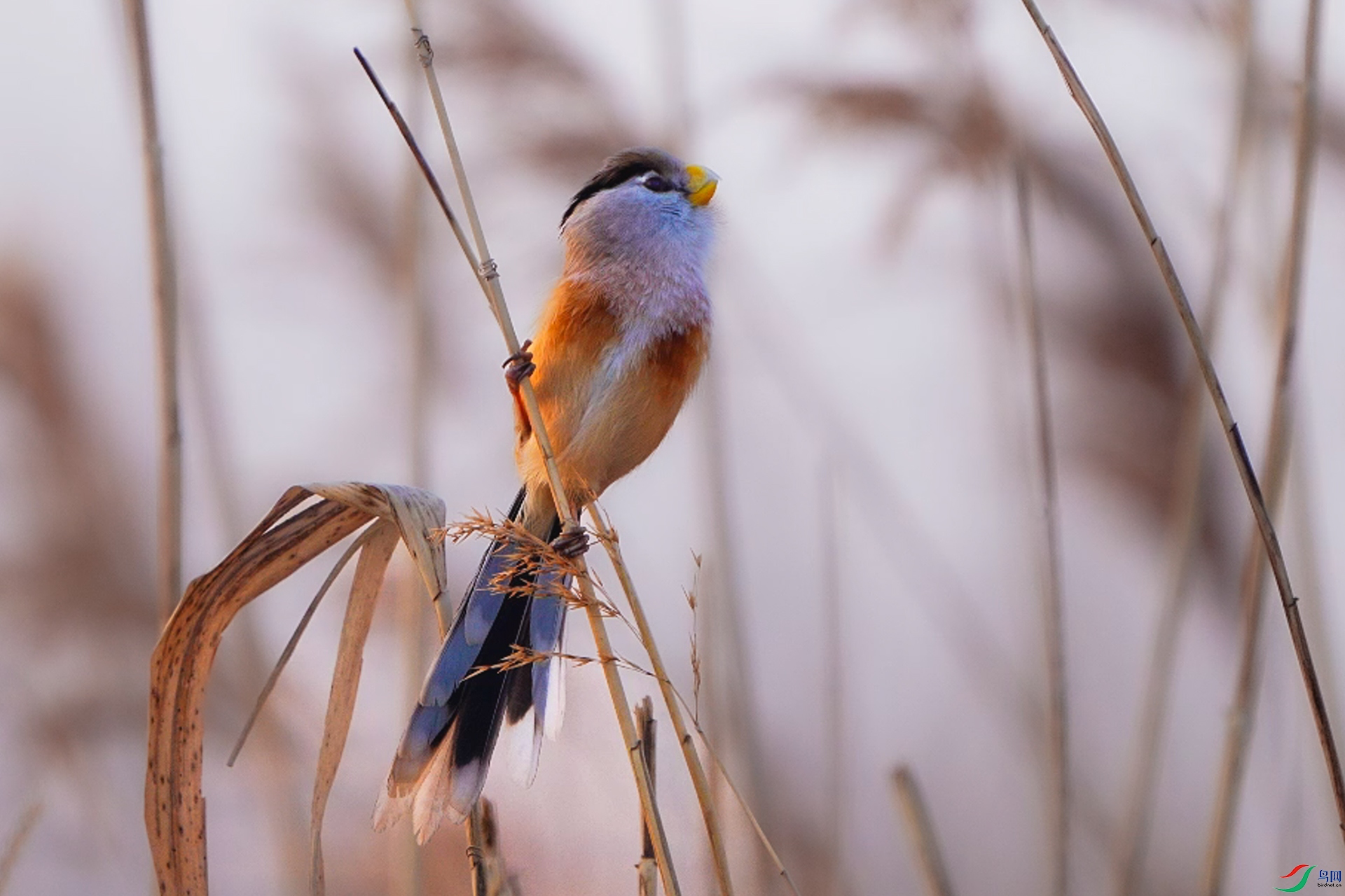 1��4�� (4) ����.jpg