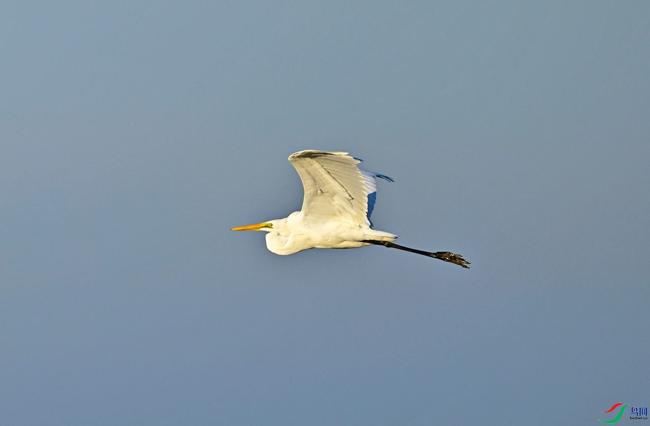 _DSC7113f_��ͼ��.jpg