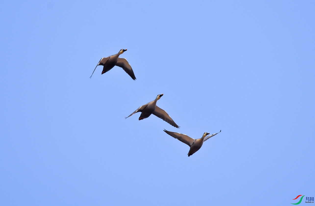 DSC_6249f_��ͼ��.jpg