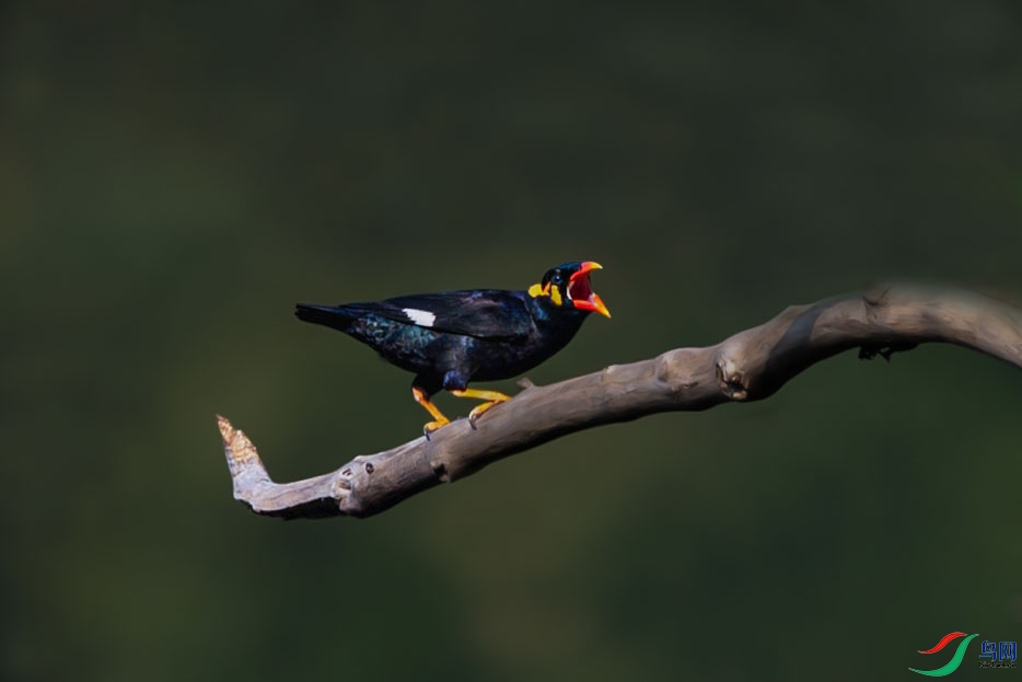 DSC_2564_1.jpg