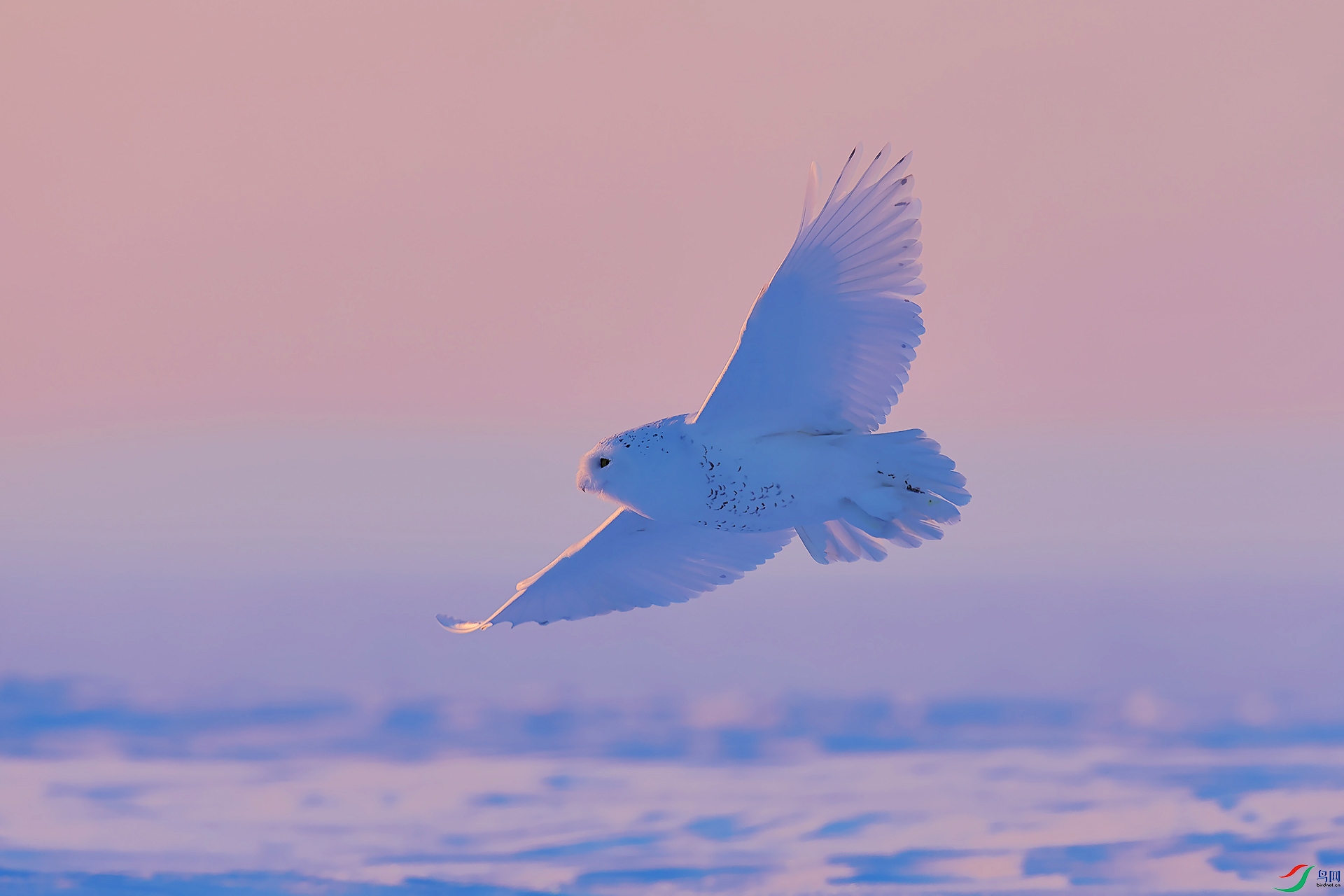 ѩ�^����0X5A5288.jpg