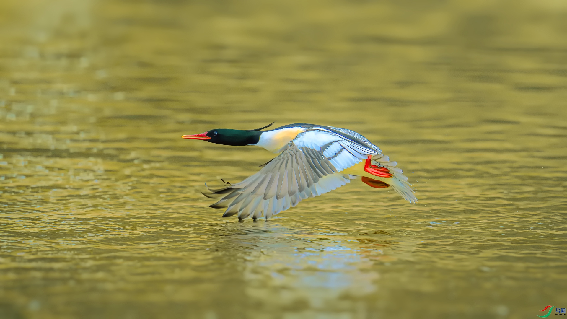 _DSC3703==1w.jpg