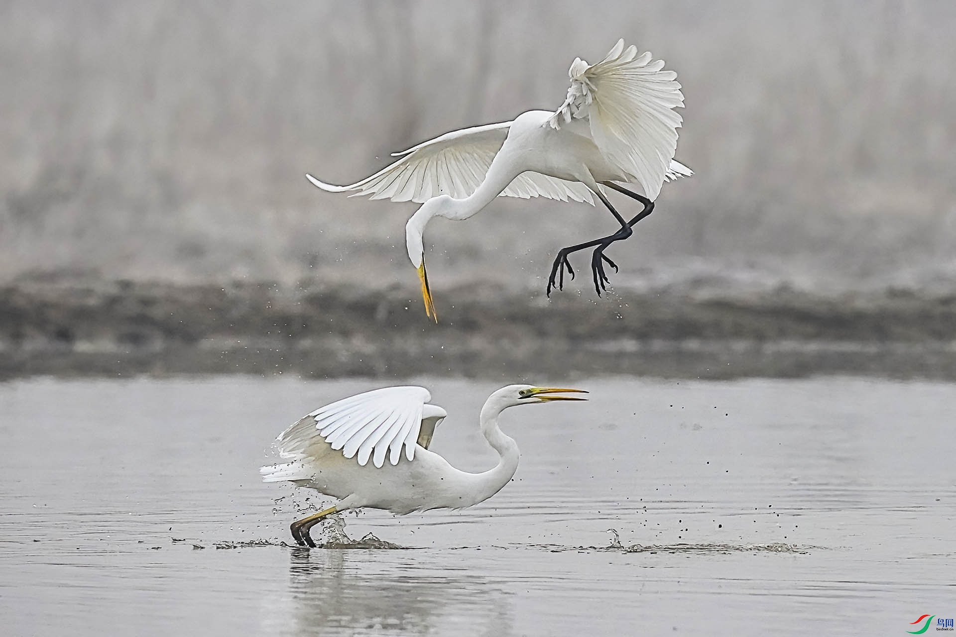 _DSC1314 ����.jpg