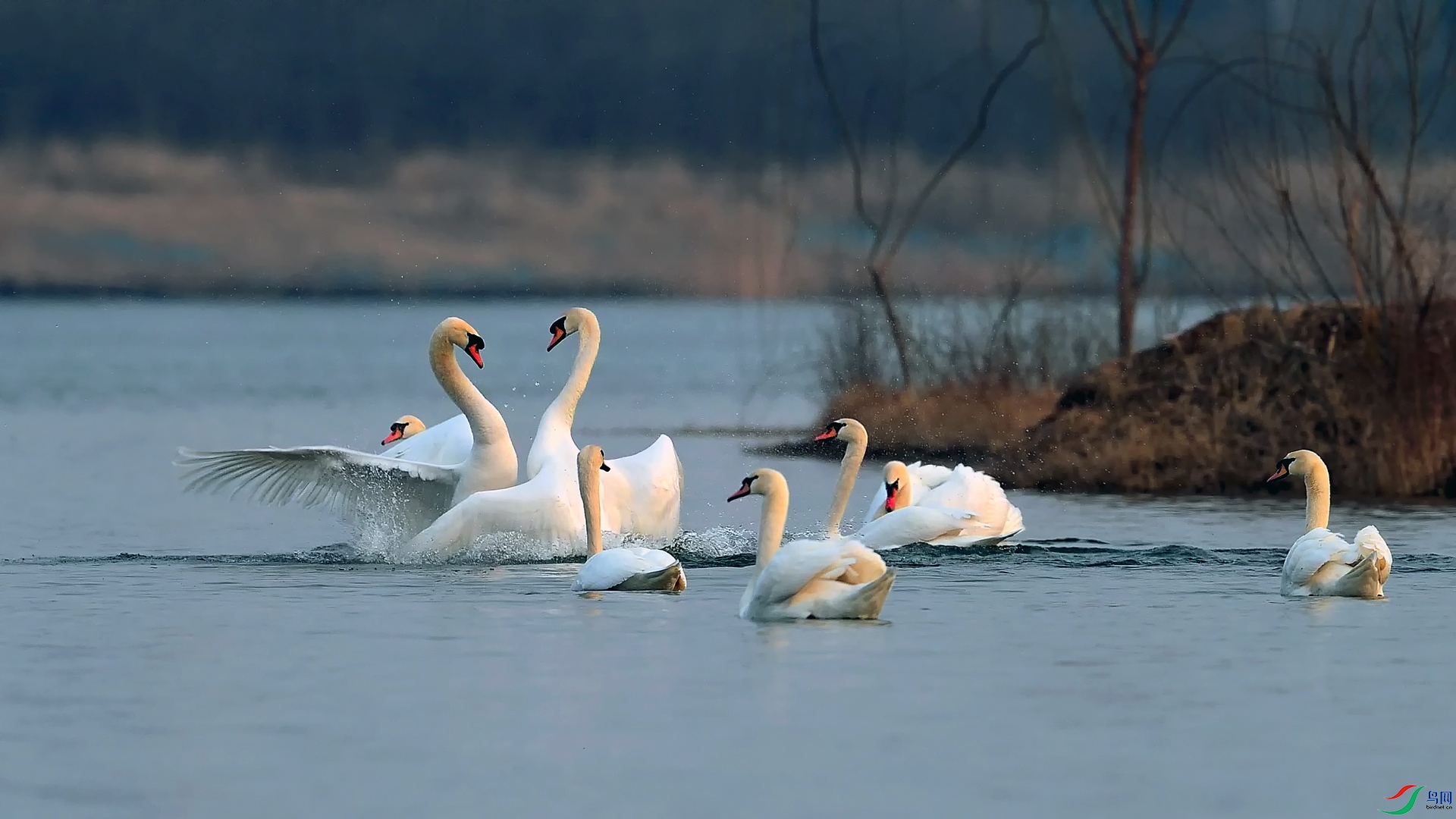DSC_0128==1w.jpg