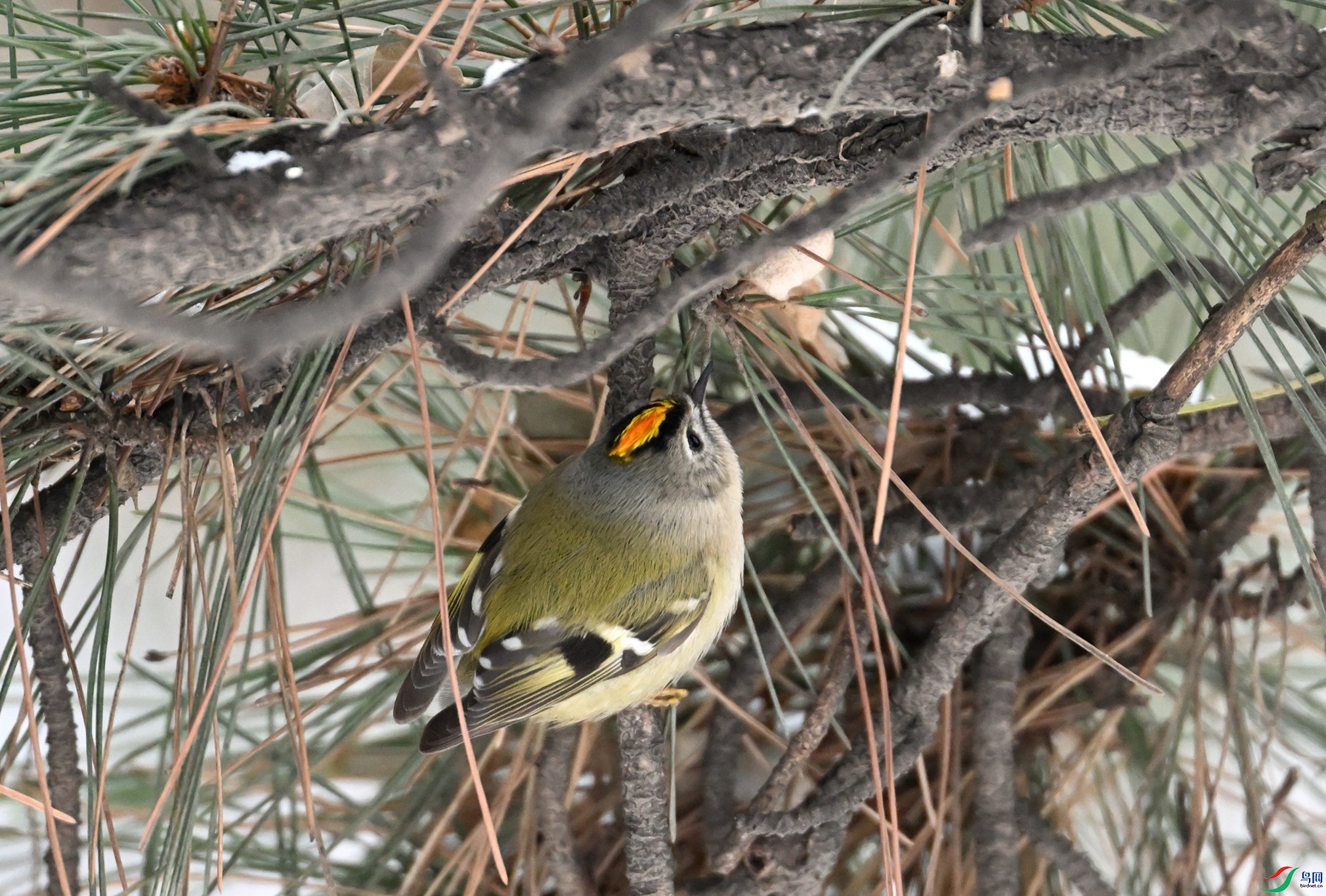 DSC_2149.JPG