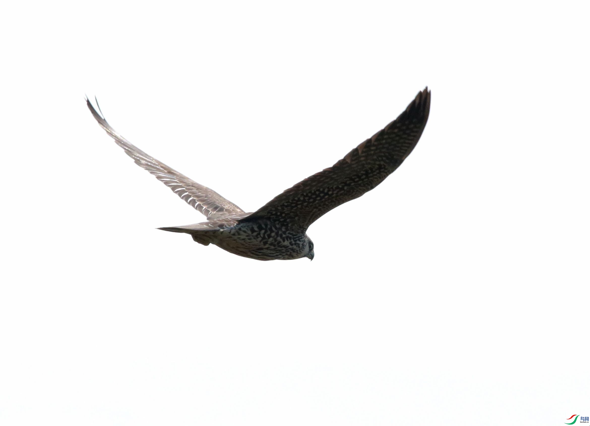 4B3A7265.JPG