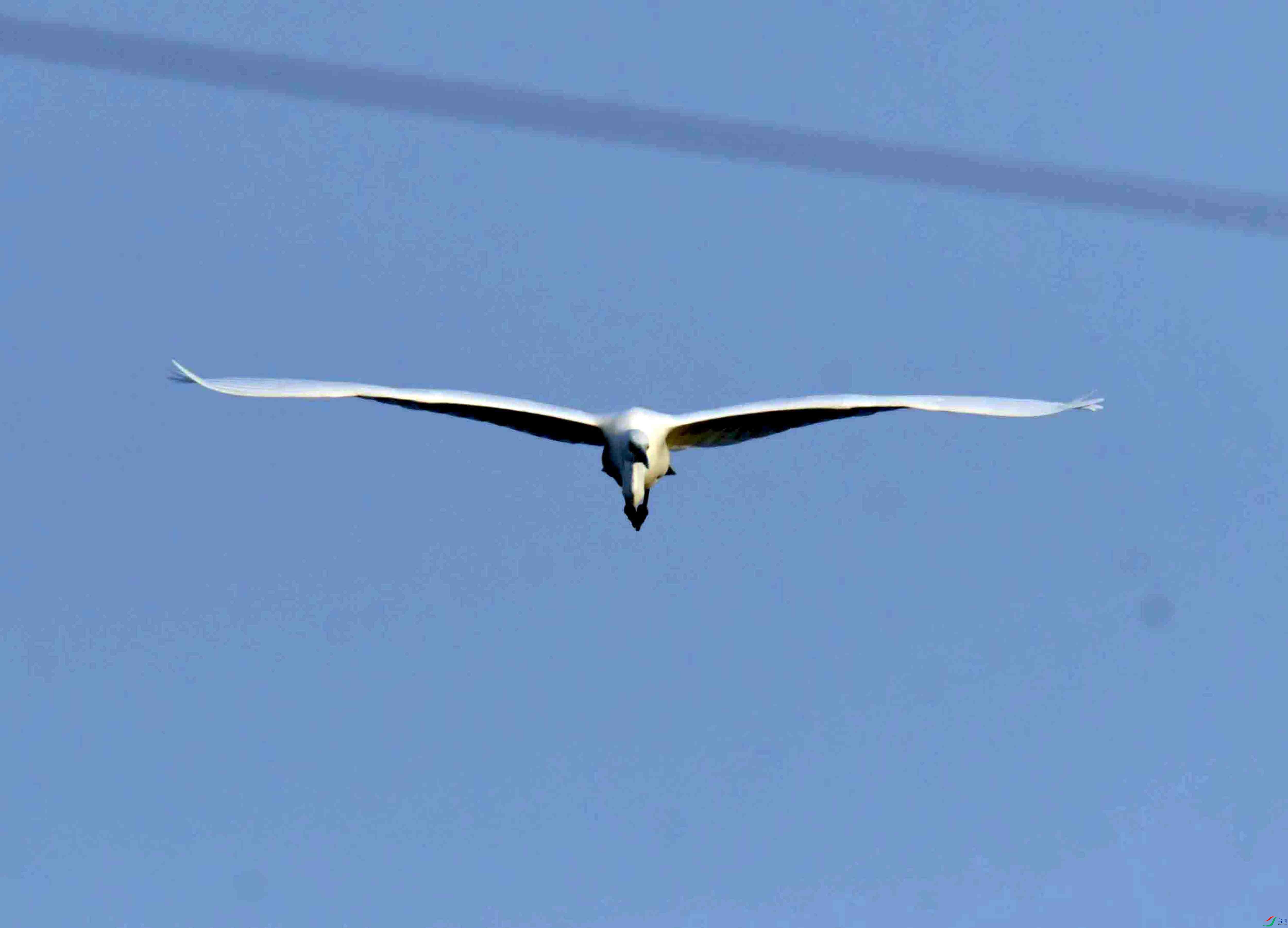 DSC_7193.JPG