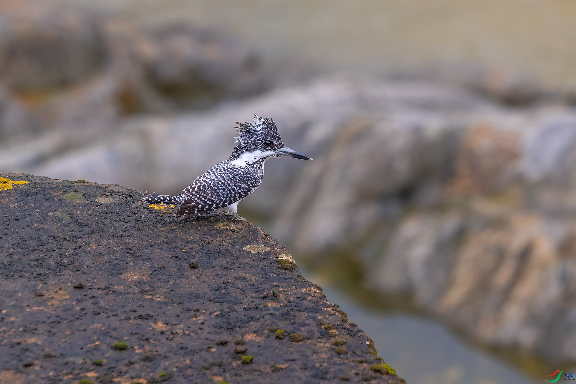 DSC_3334.jpg