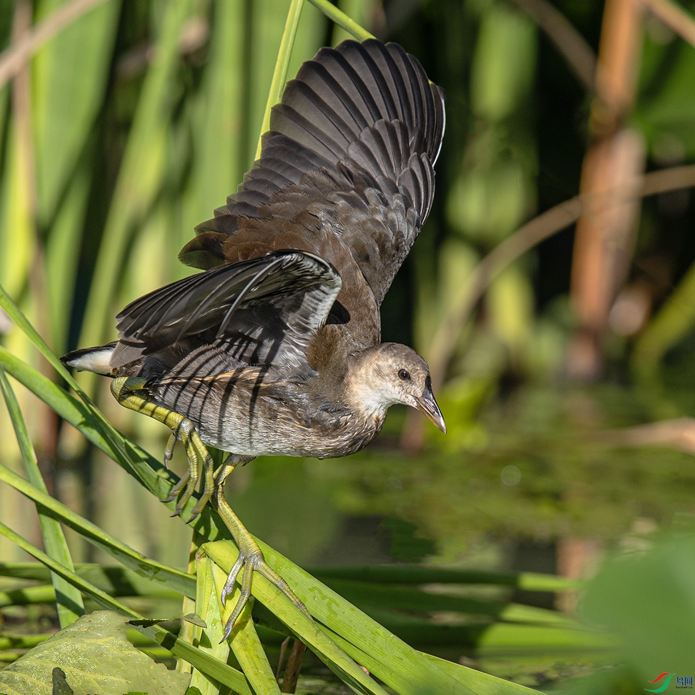 _90I4839 ����.jpg