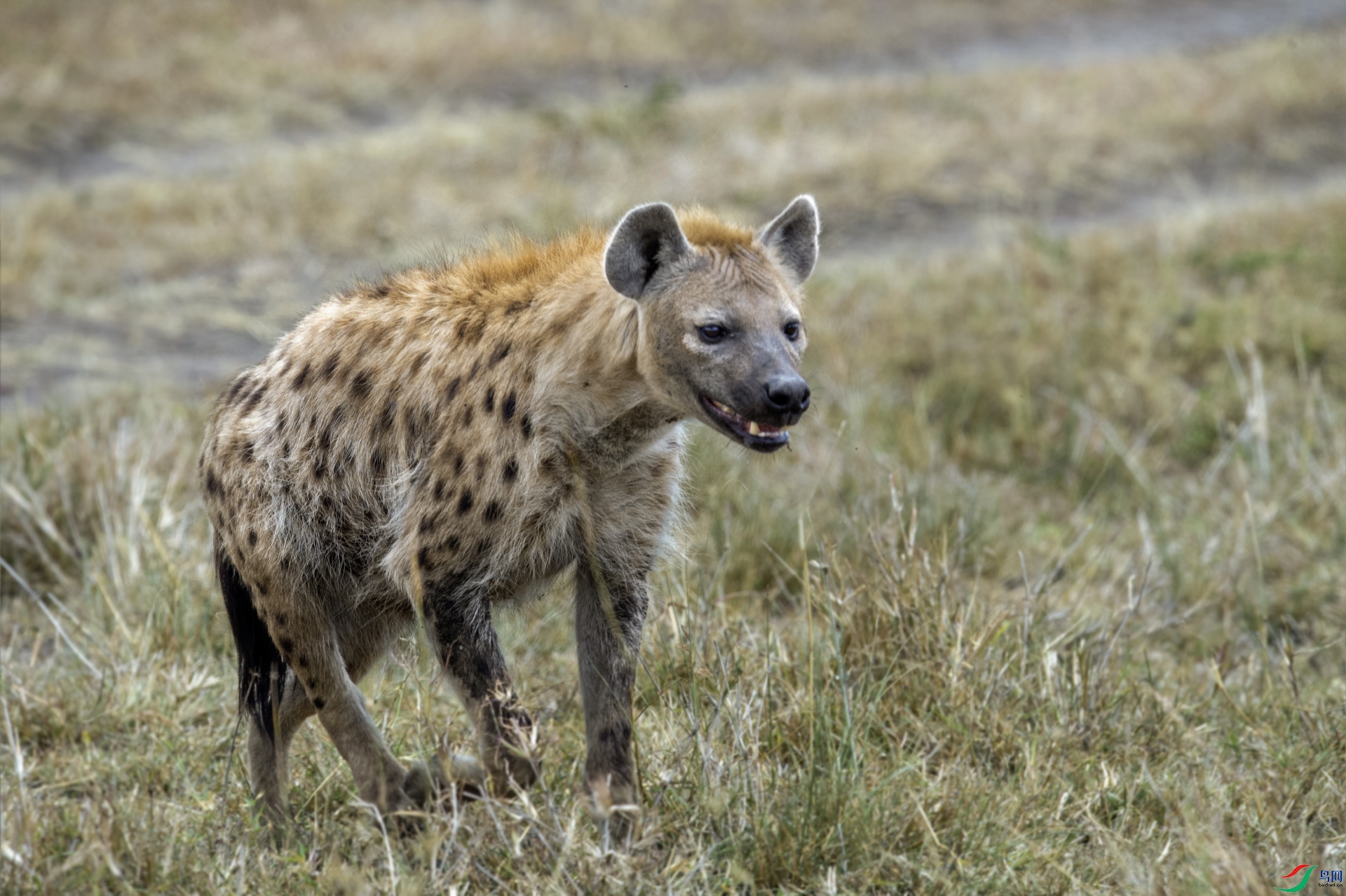 DSC_8930 ���� 2.jpg