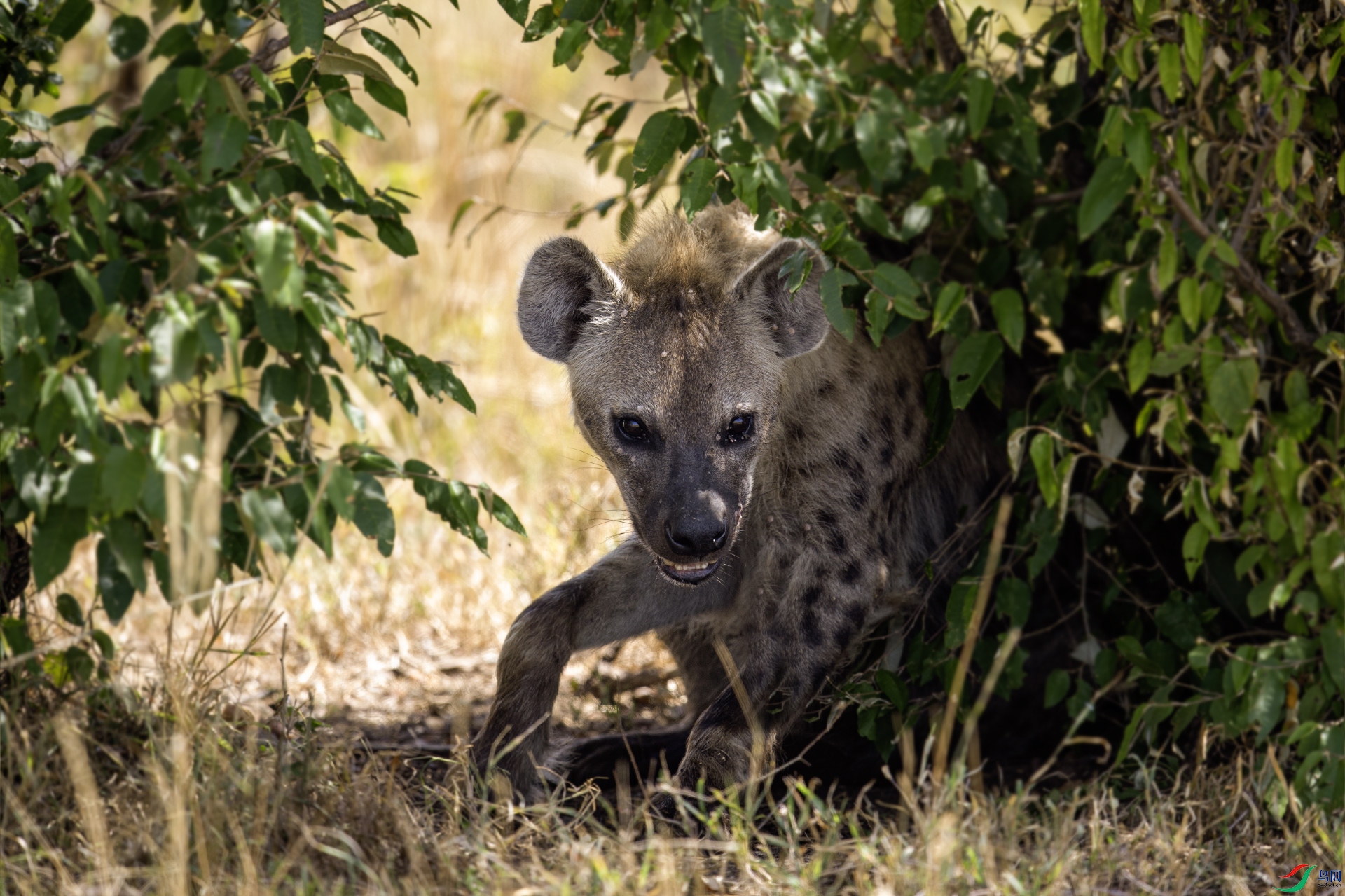 DSC_8187 ���� 2.jpg