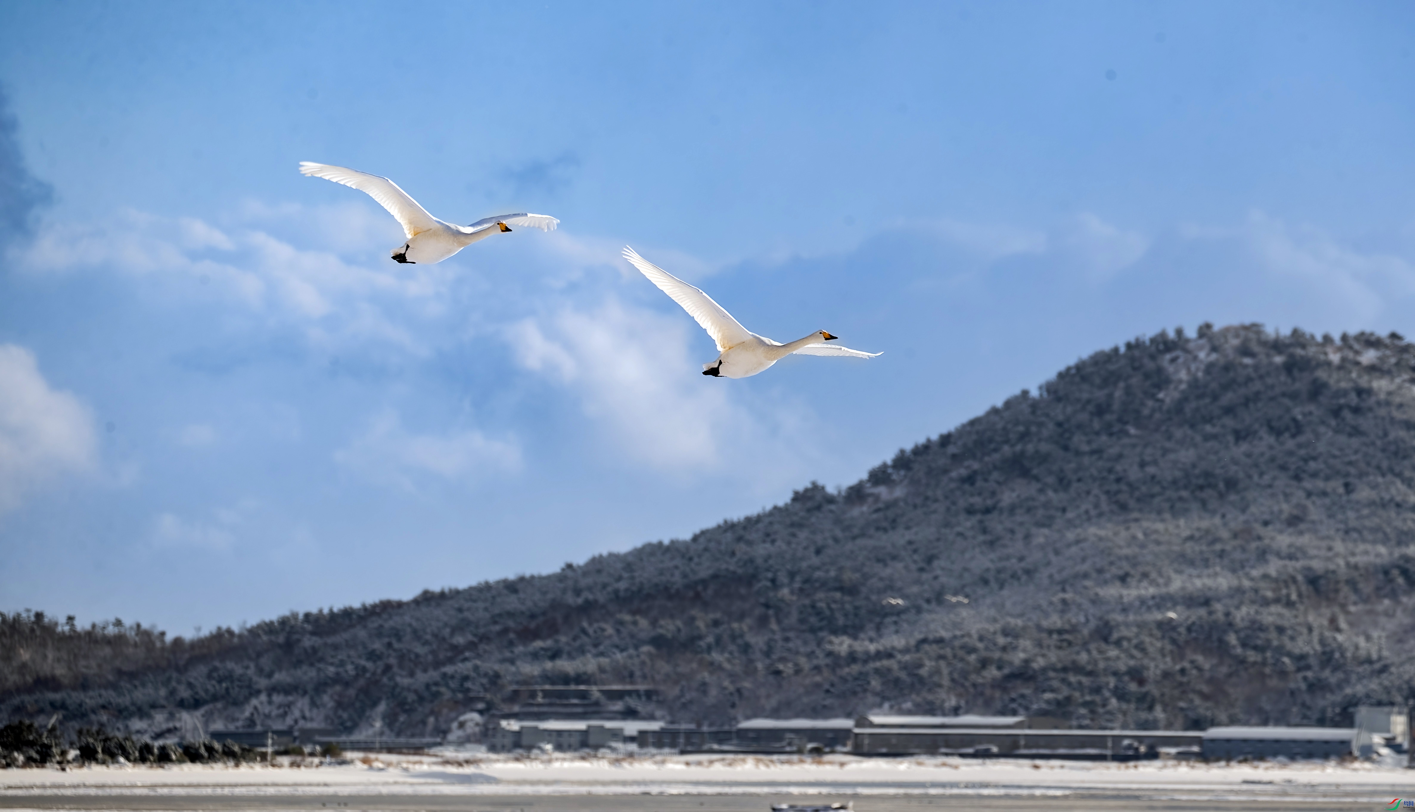 IMG_6151 ���� 2.jpg