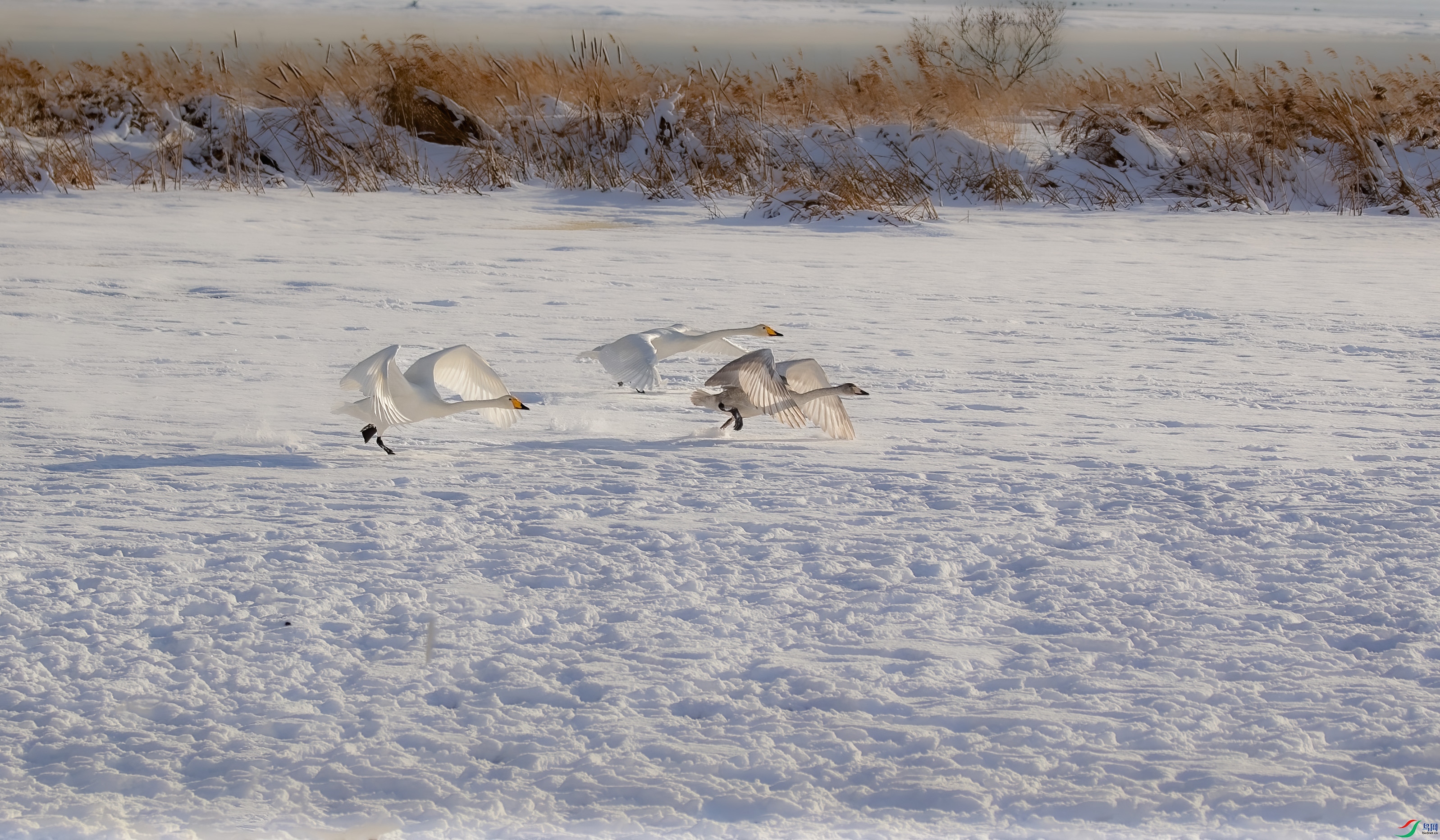 IMG_6080 ����.jpg