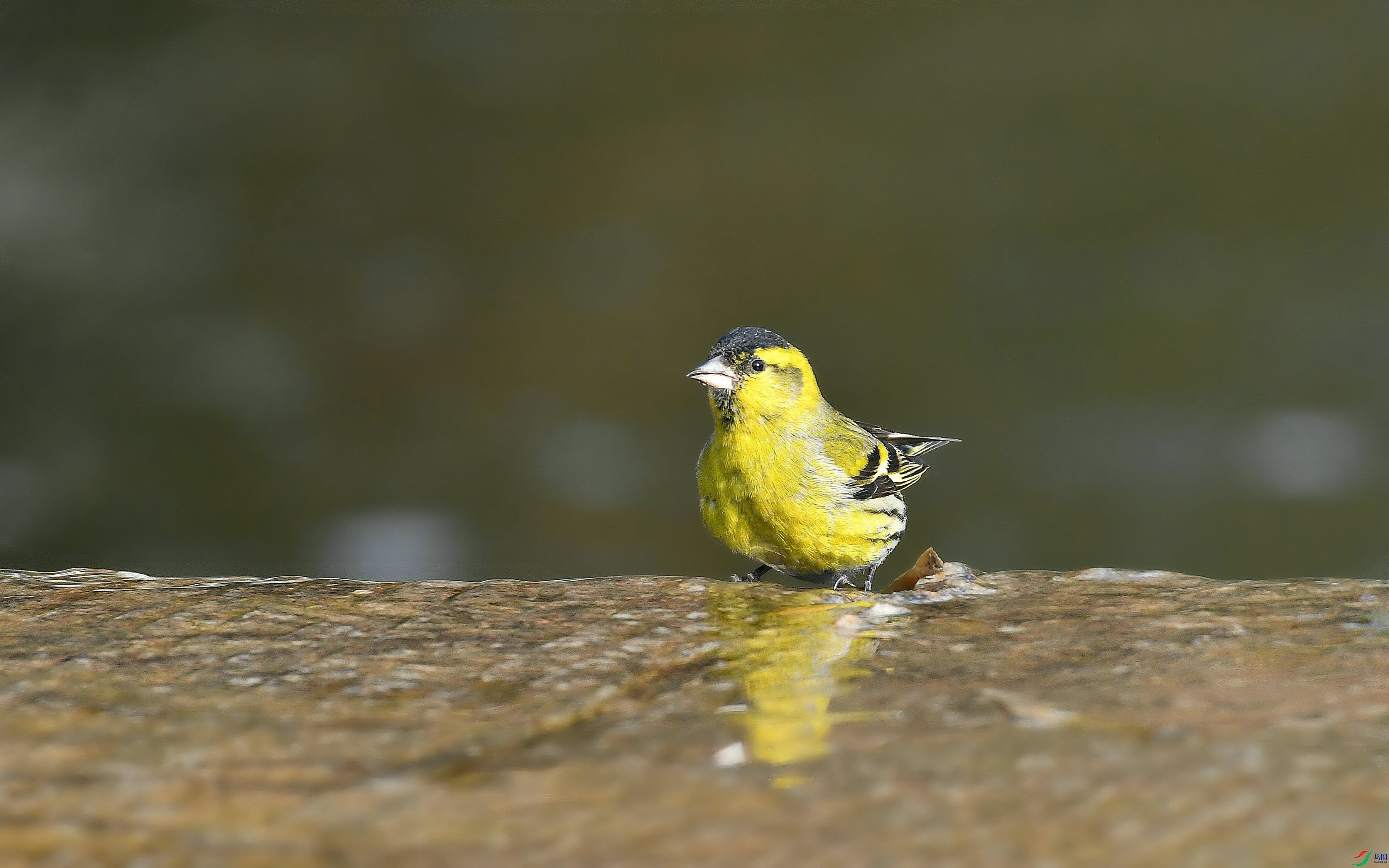 DSC_0586.JPG