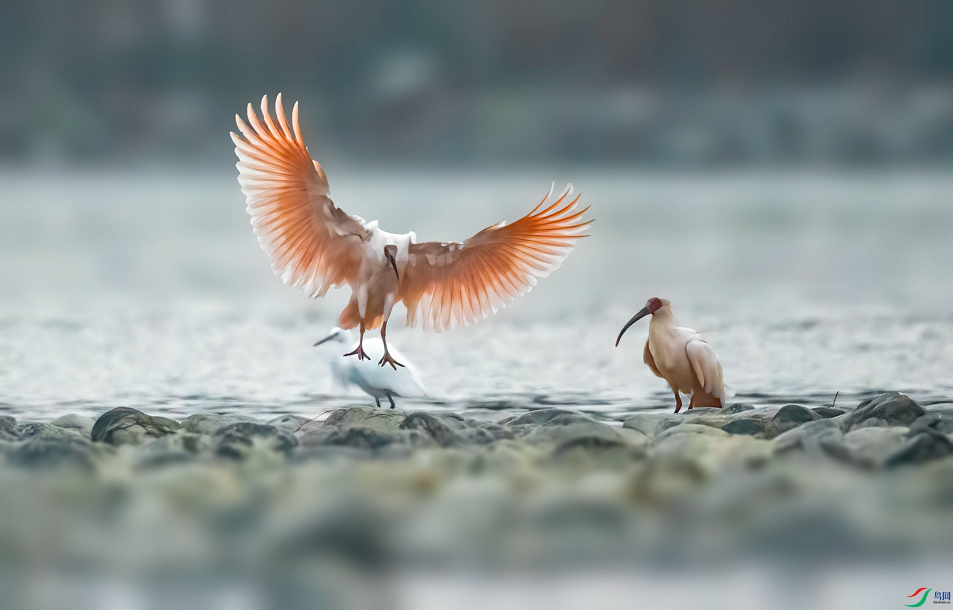 DSC_1665 ����_����.jpg