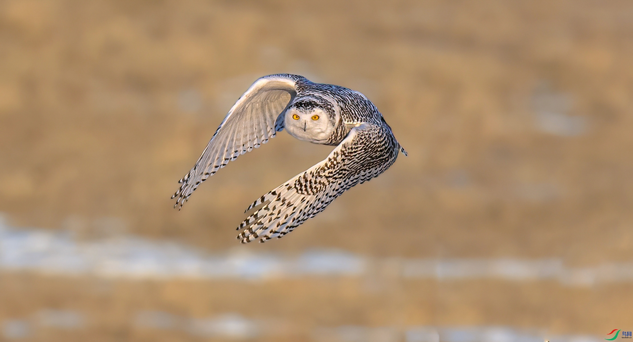 DSC_7869 ����_����.jpg2.jpg