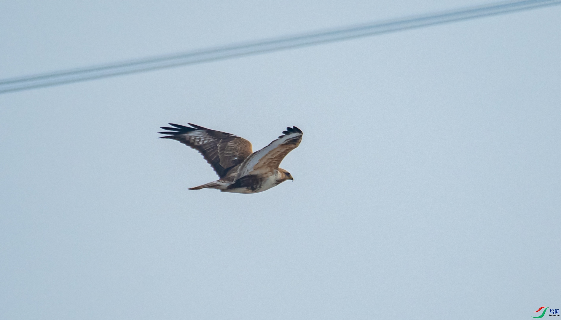 DSC_8221_1.jpg
