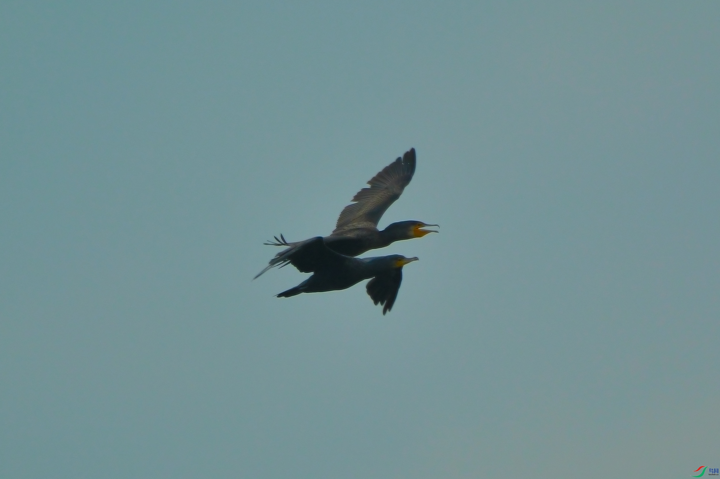 DSCF6813_455.JPG