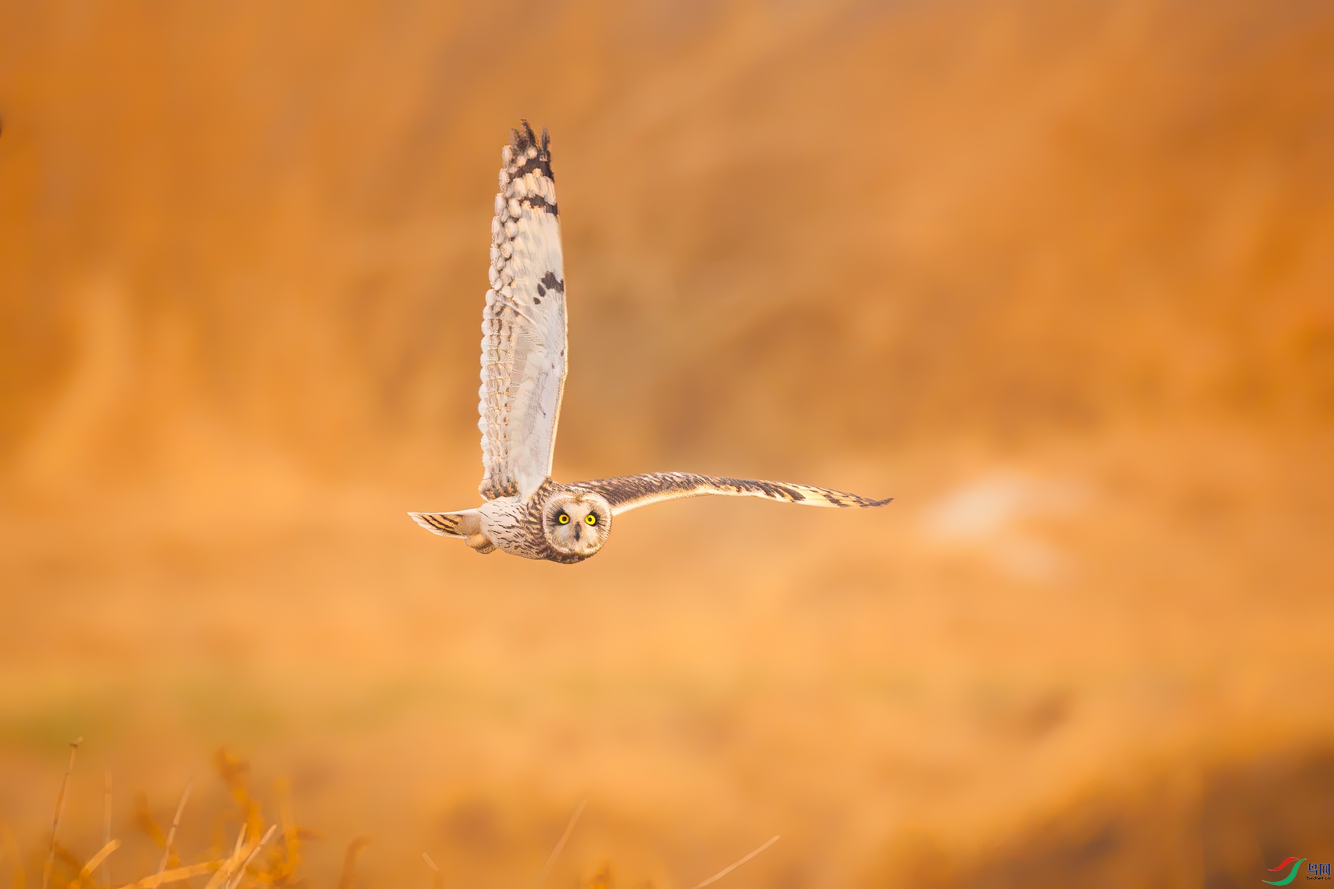 _F8A4094-�༭.jpg