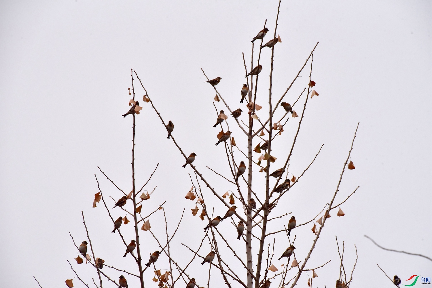 DSC_3515.JPG