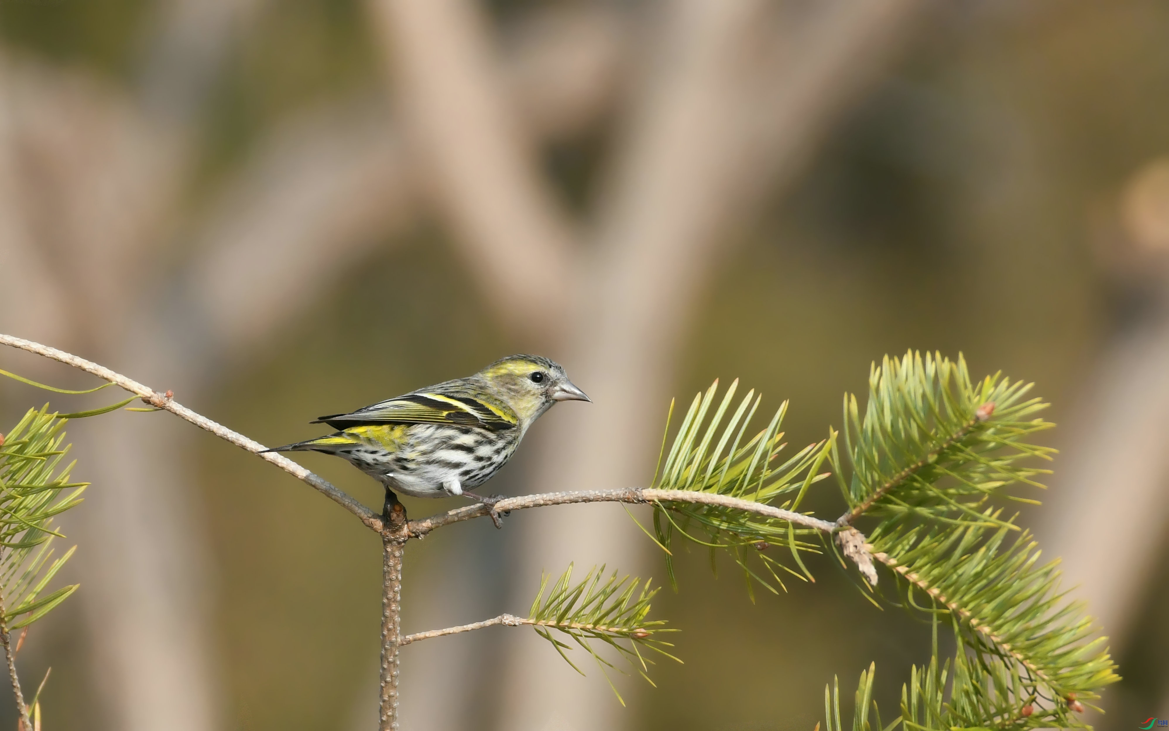 DSC_0697.JPG