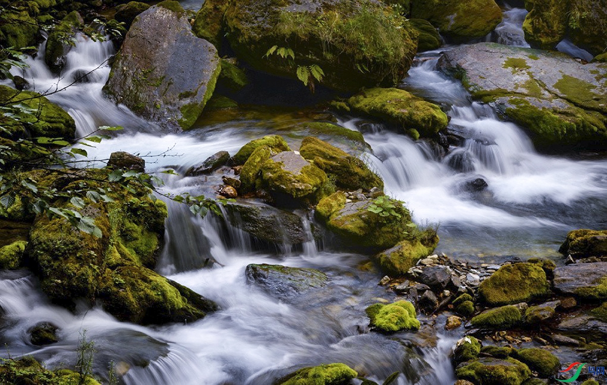 DSC_7234.jpg