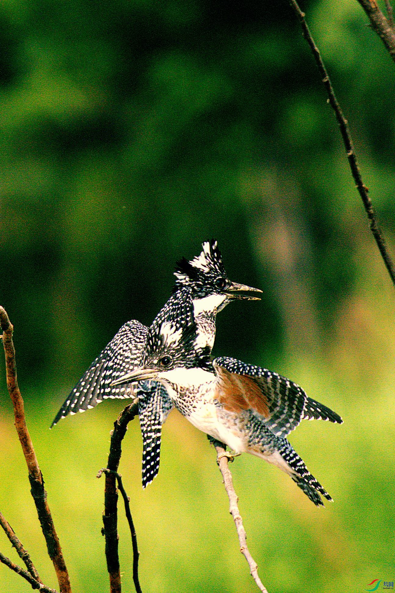 DSC00212_����_����.jpg