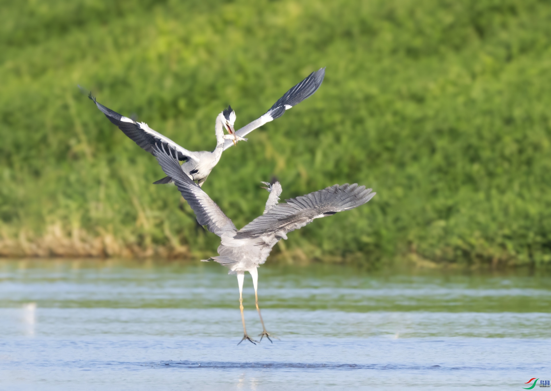 ��DSC_5747_01 ��ؐ.jpg