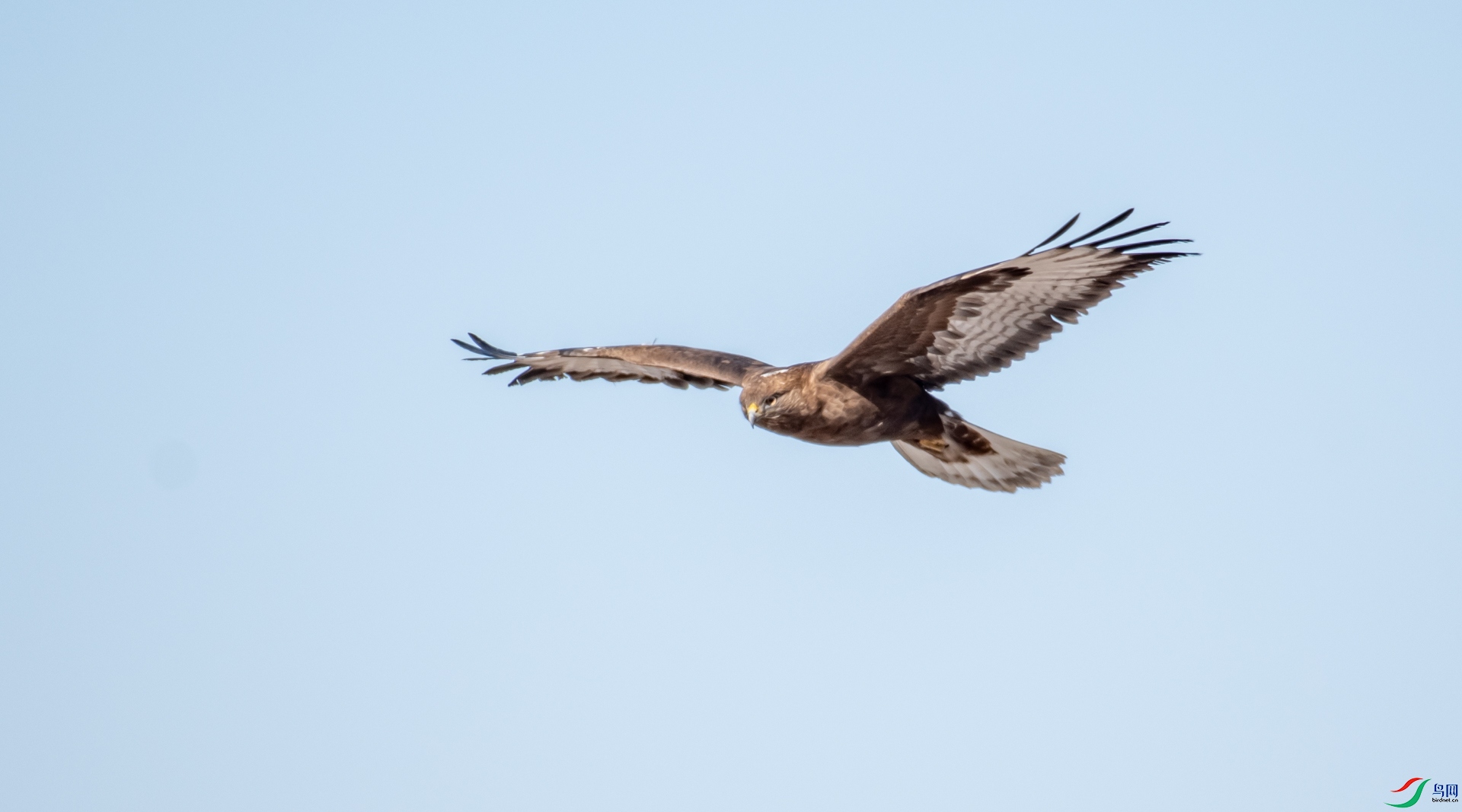 DSC_0066.jpg