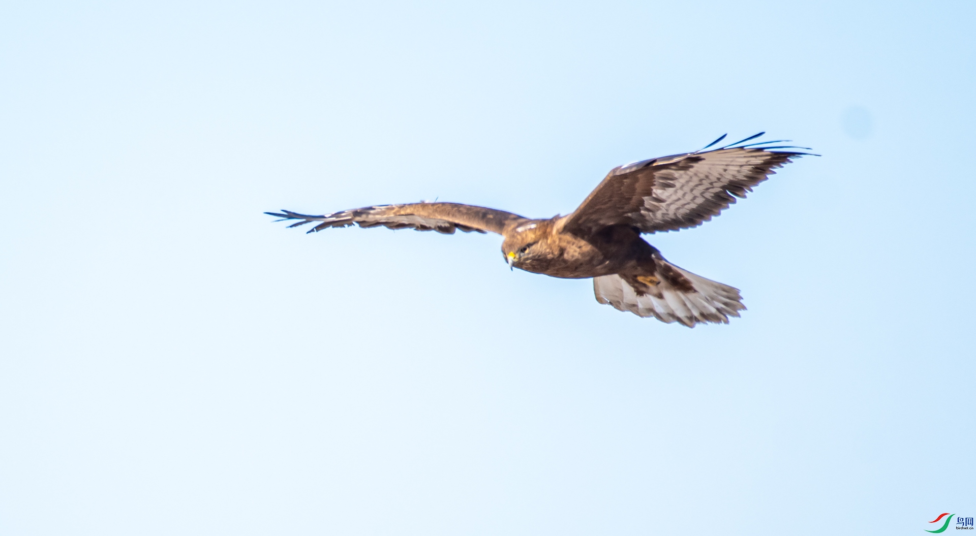 DSC_0068.jpg