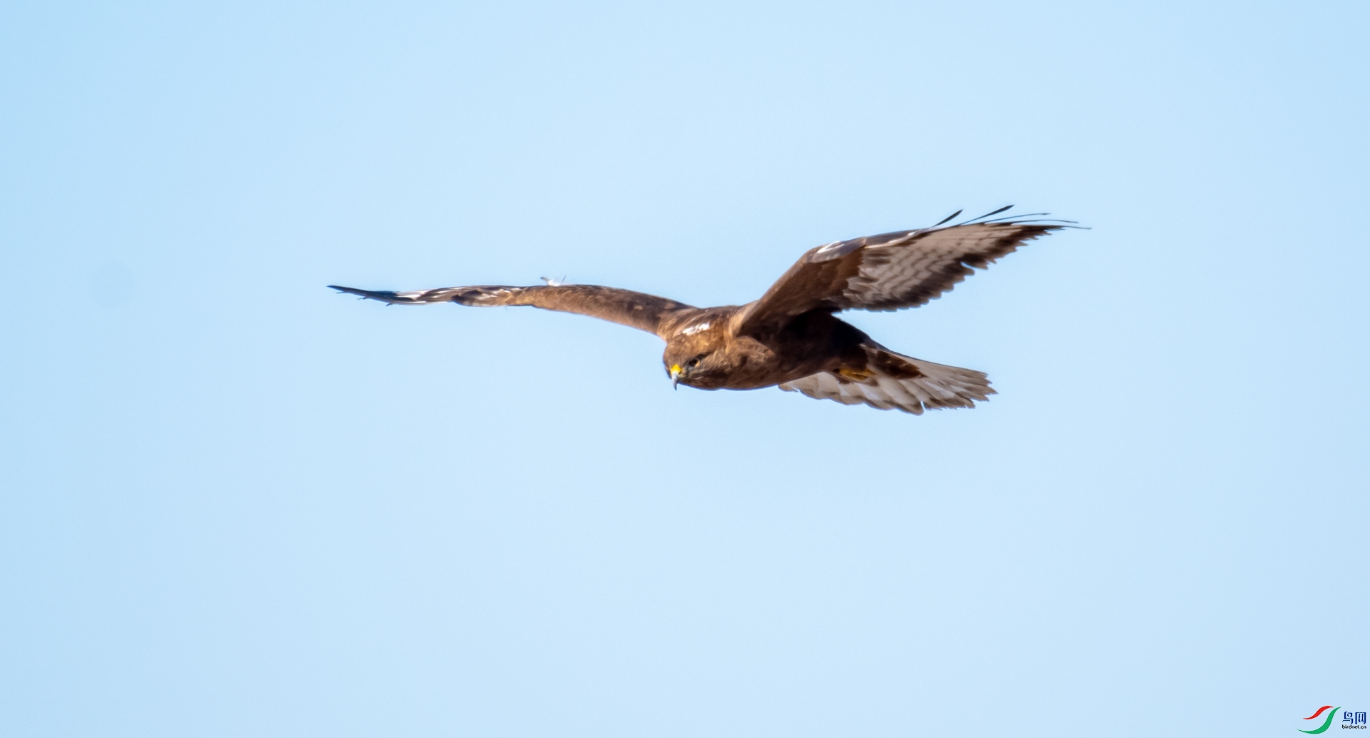 DSC_0071.jpg