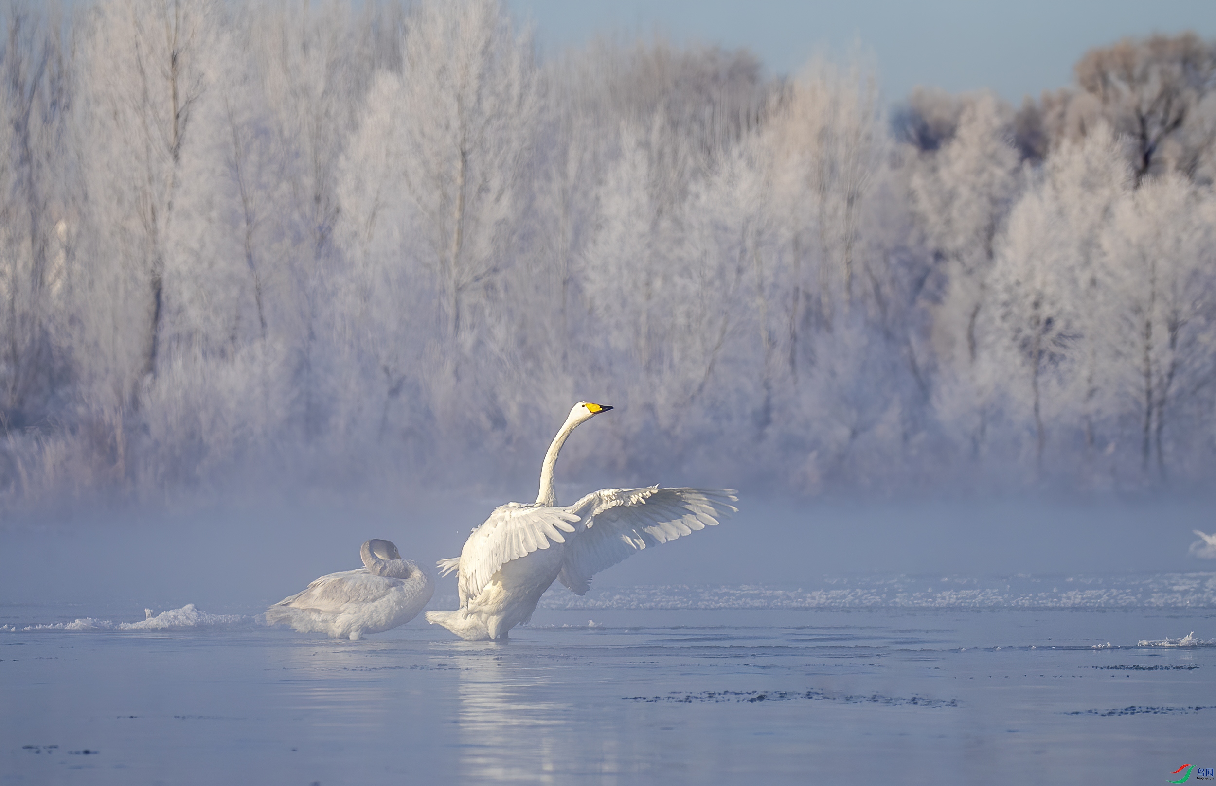 AC3I7141 ����.jpg