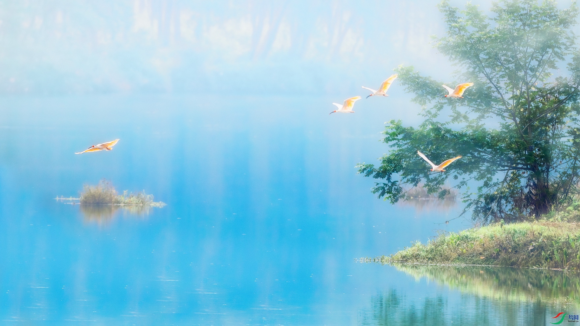 �����qӰ0B5A1135 (1).jpg