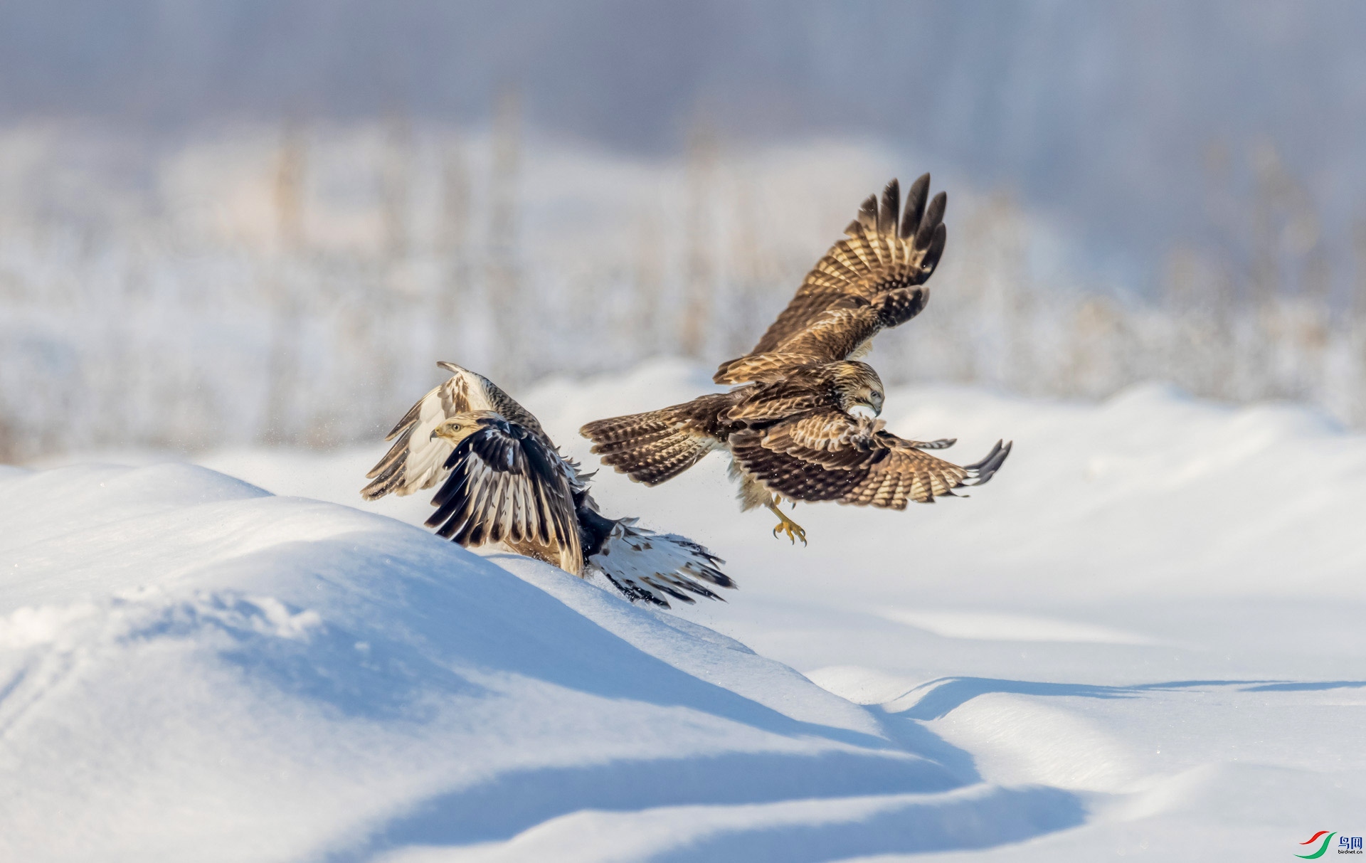 �������