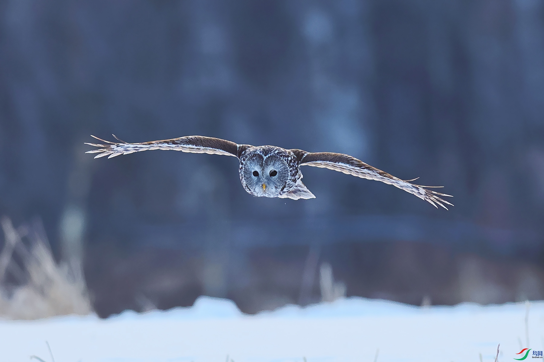 ��β���^0X5A7904.jpg