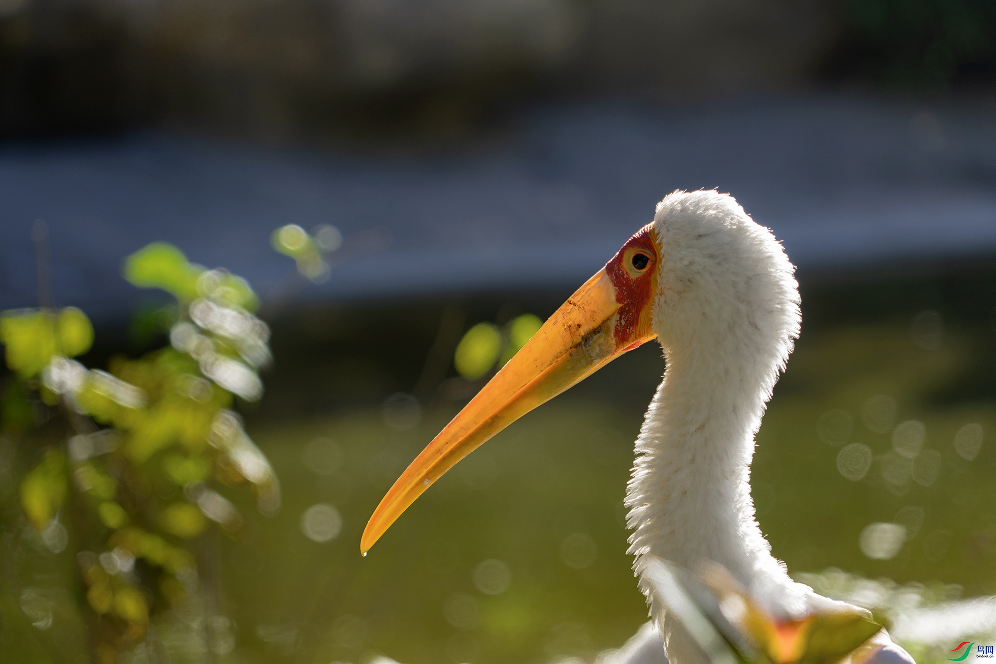 DSC05190-1 ����1.jpg