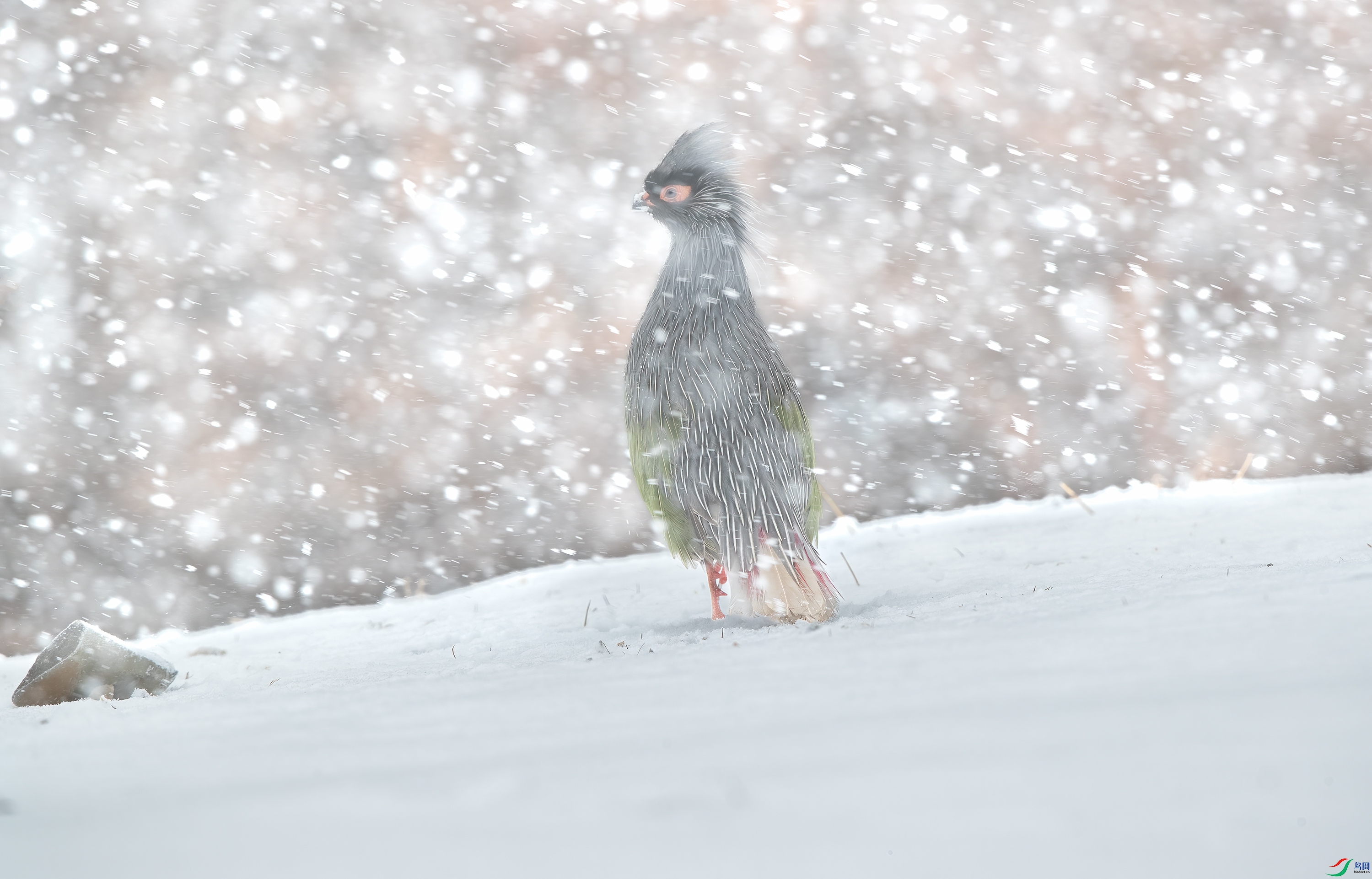 AY8I0461 ����.jpg-.jpg