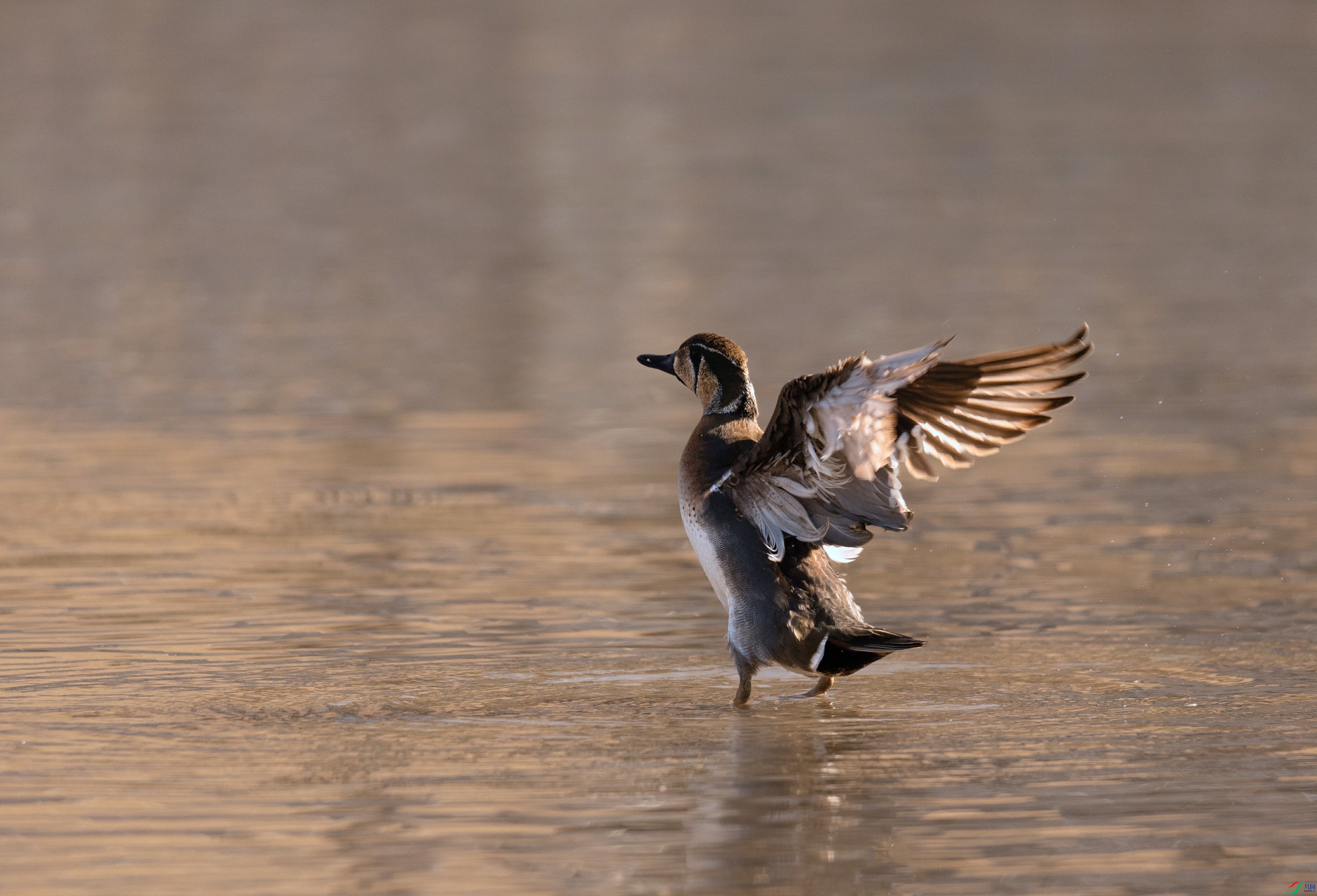 7X5A1916 - ����.jpg