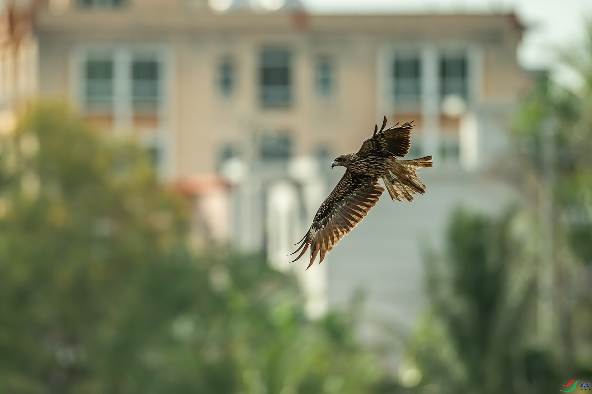 DSC_7165.jpg