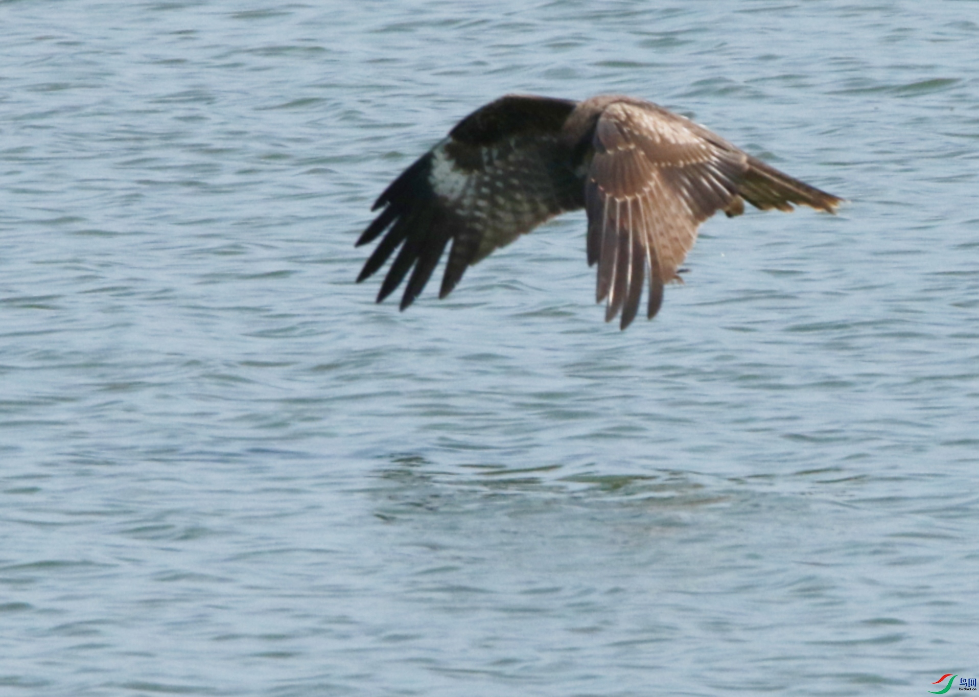 IMG_20240106_215027.jpg