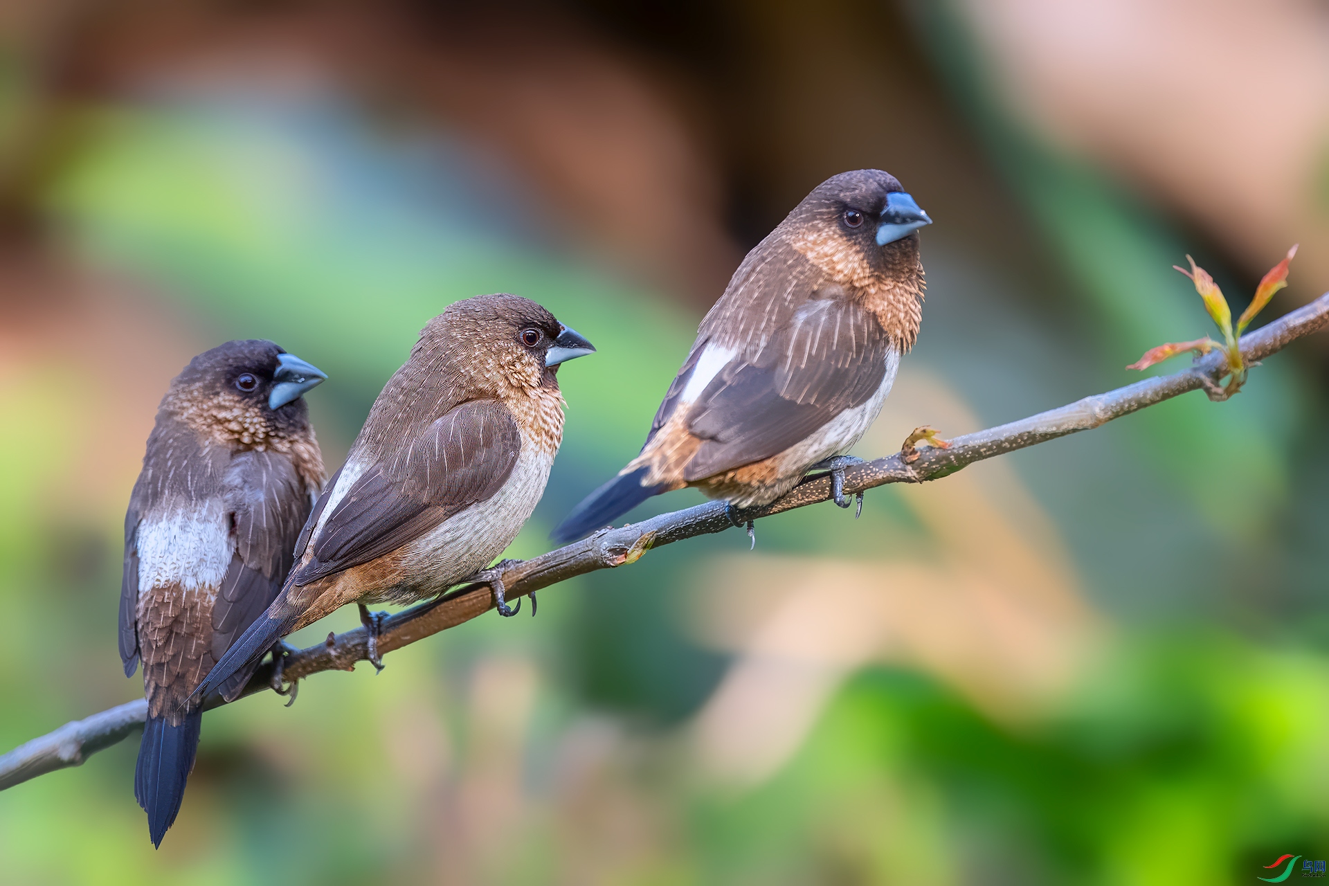 0_D5D2688-topaz-denoiseraw.jpg