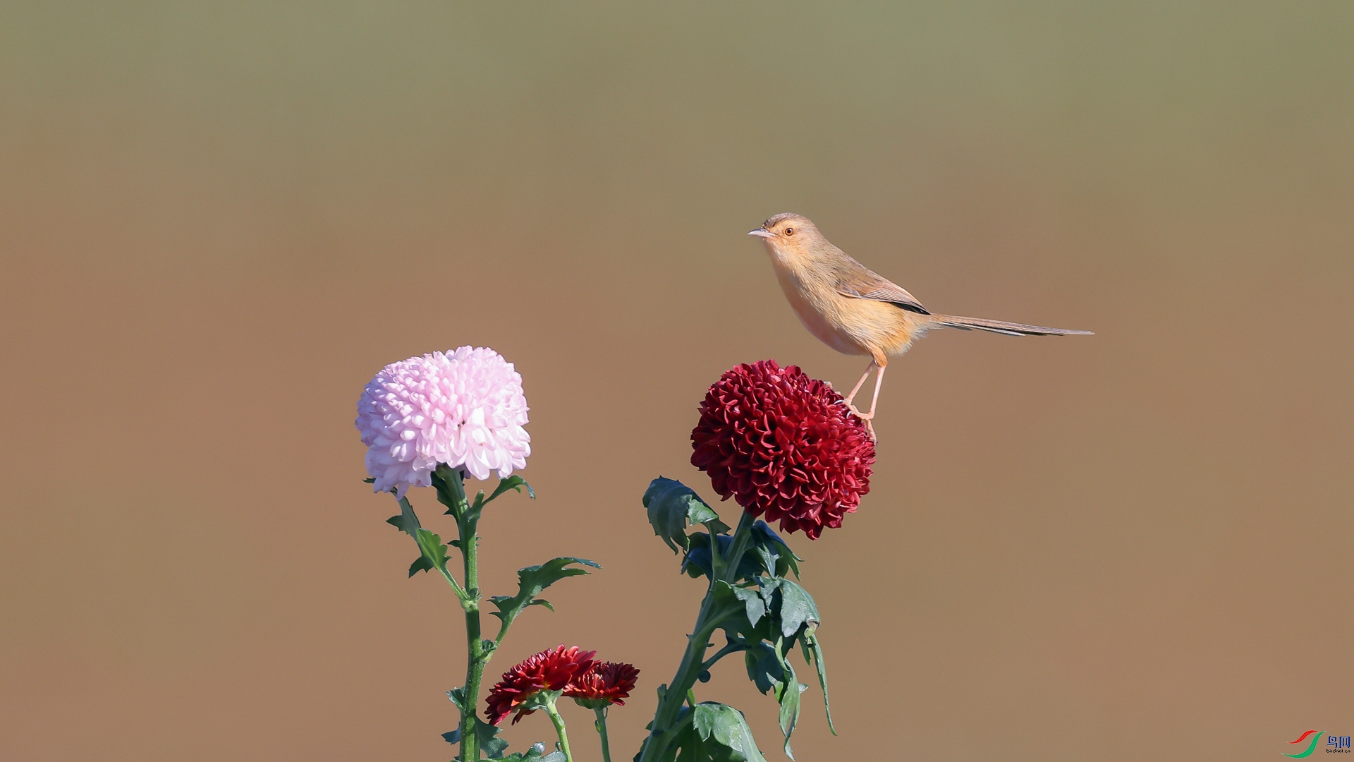 1M6A1376 ����_����.jpg