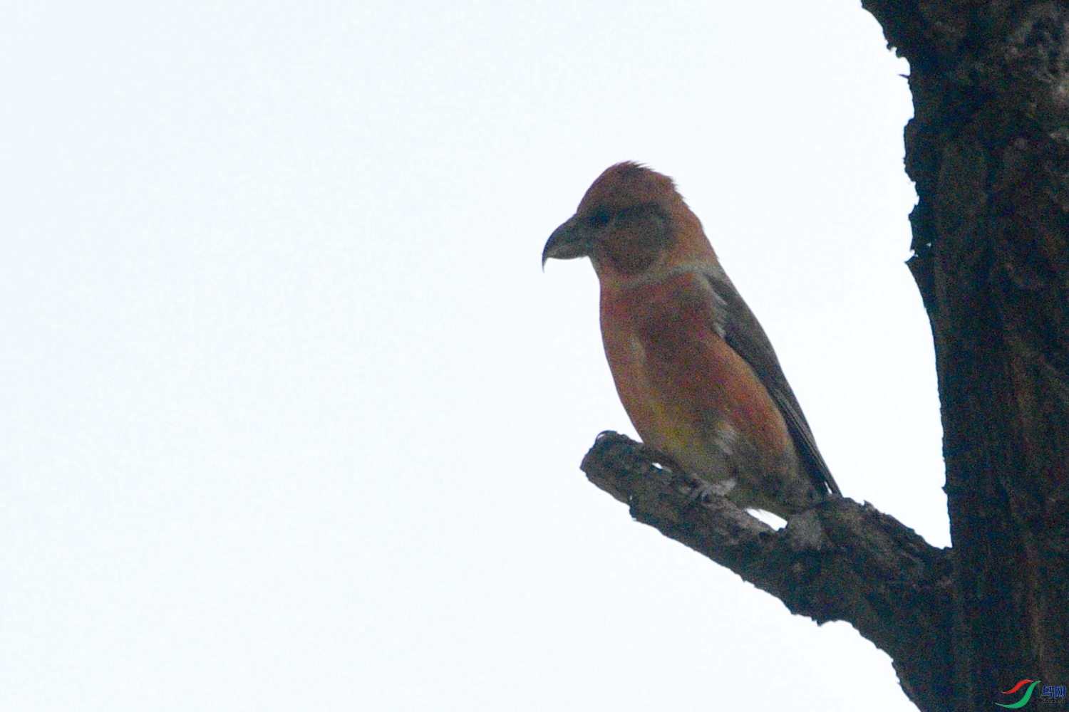 DSC_8349.JPG