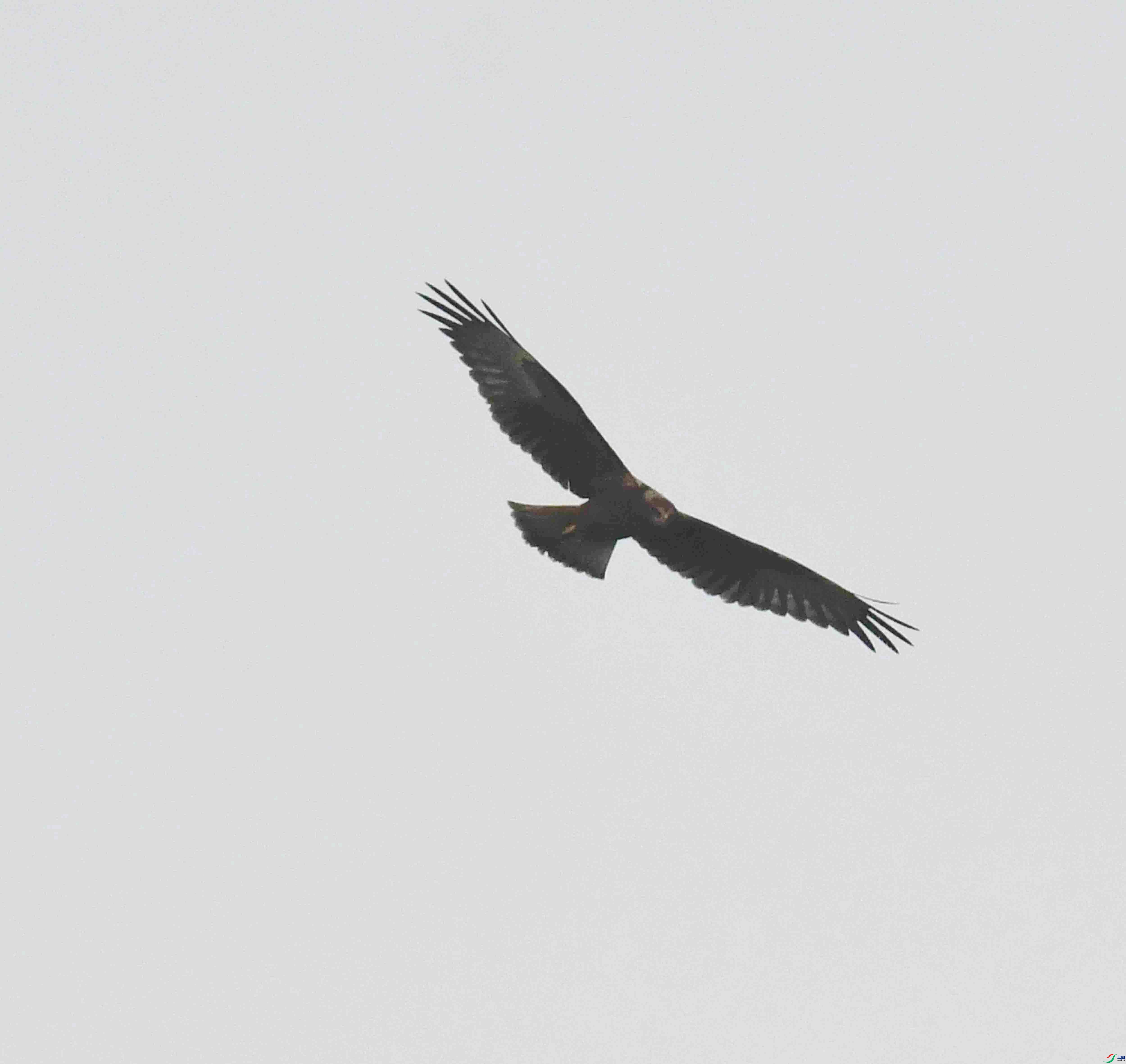DSC_9824.JPG