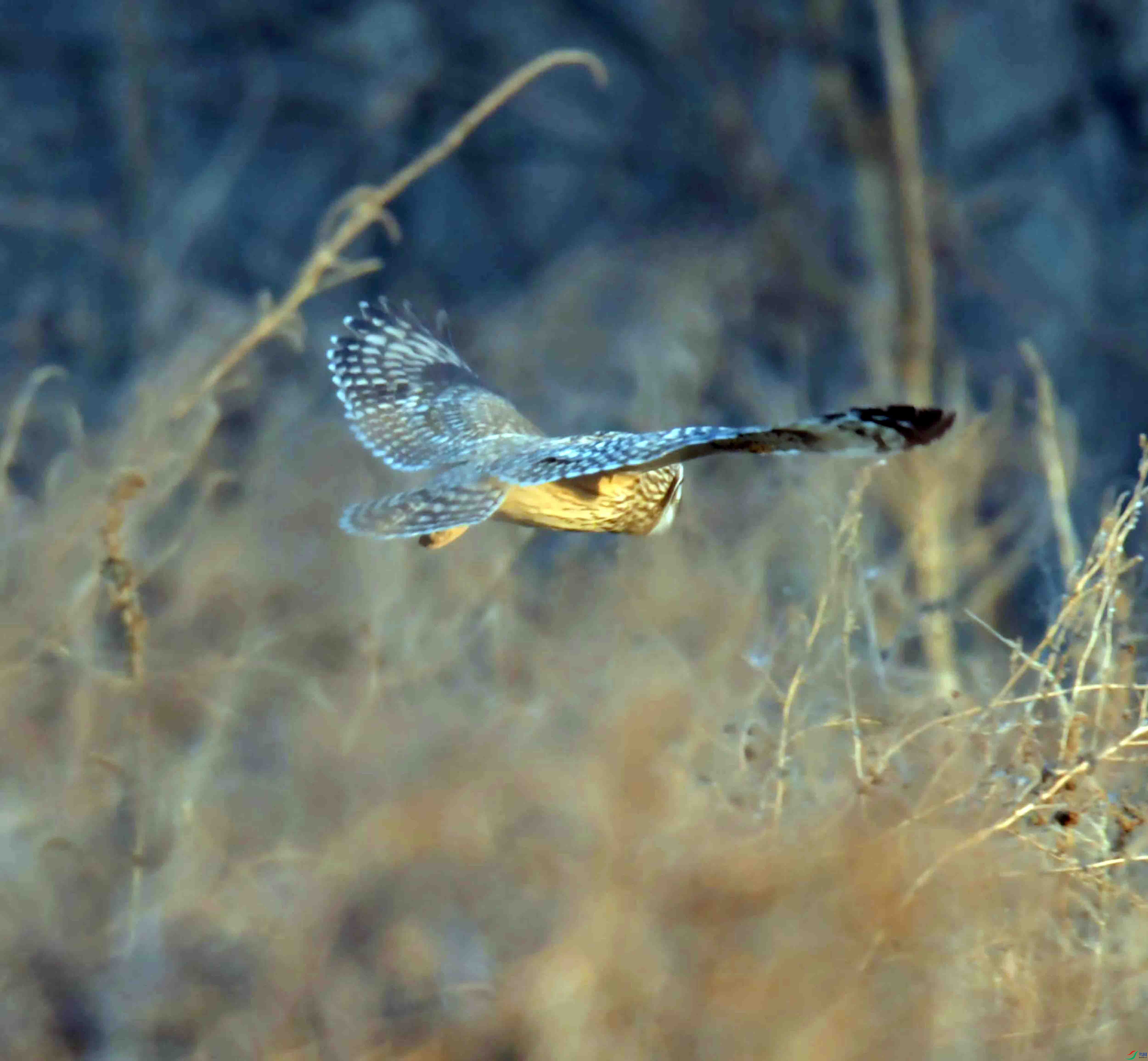 DSC_0976.JPG